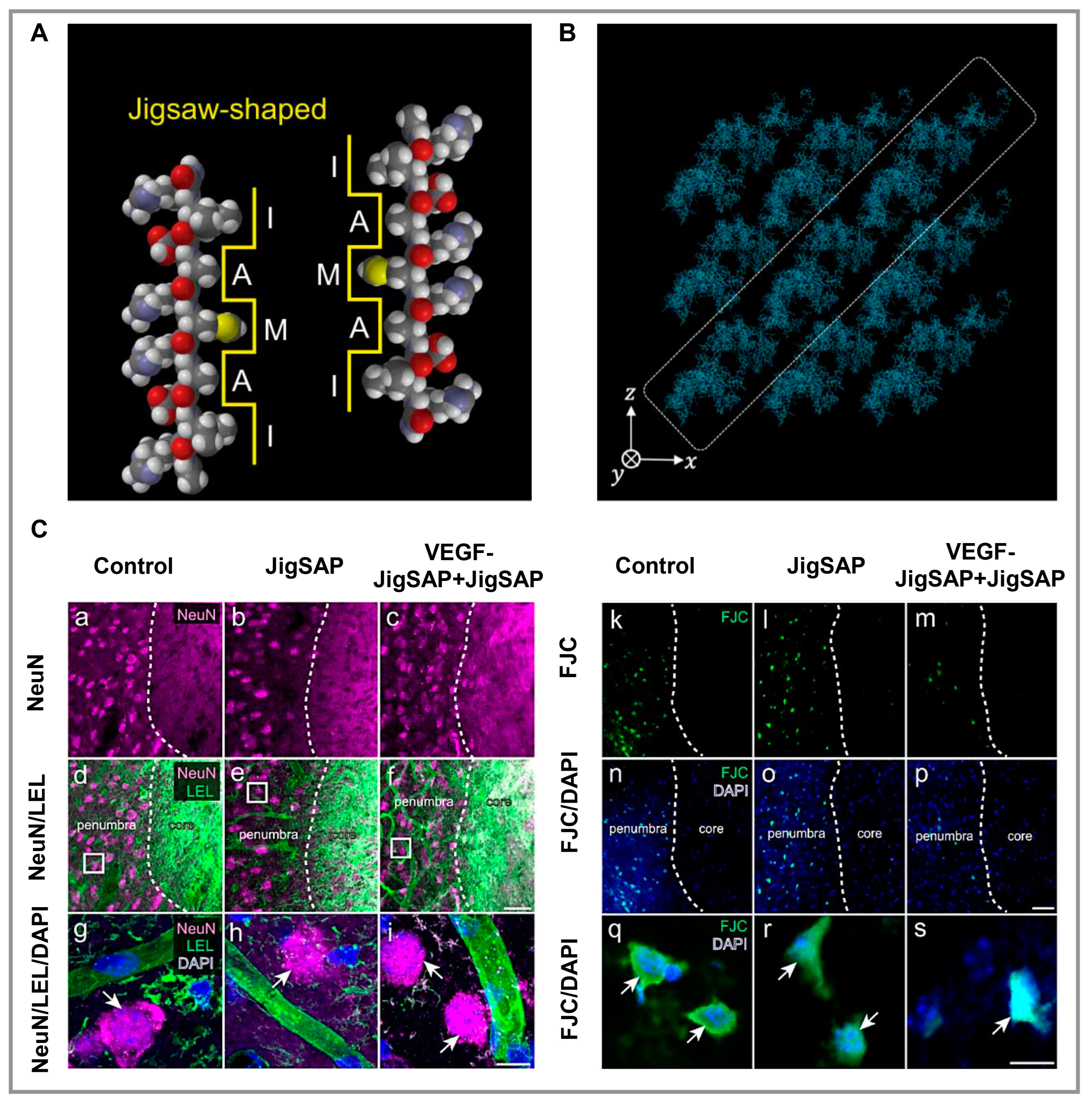 Polymers 15 01068 g002 Polymers 15 01068 g002