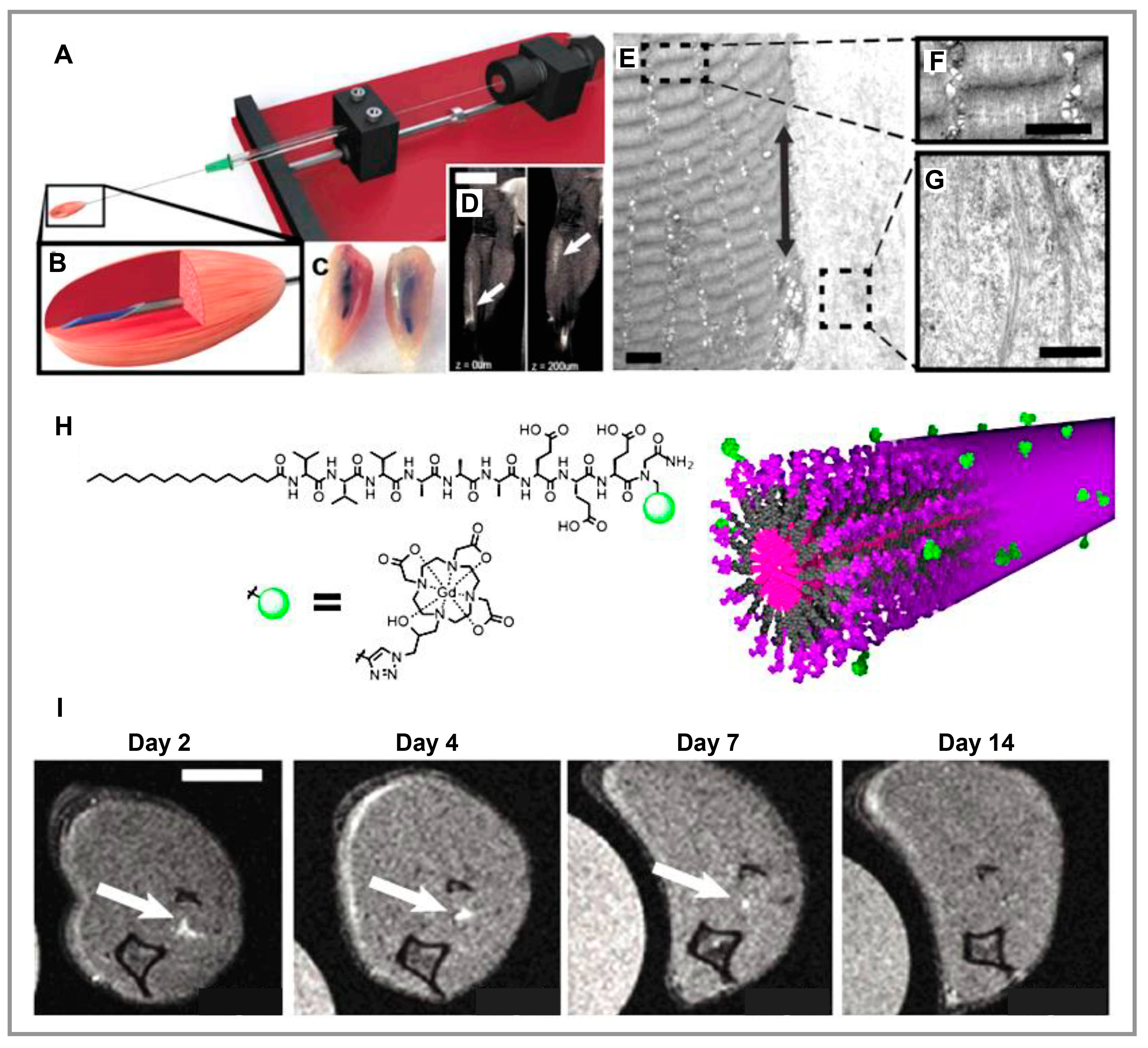Polymers 15 01068 g003 Polymers 15 01068 g003