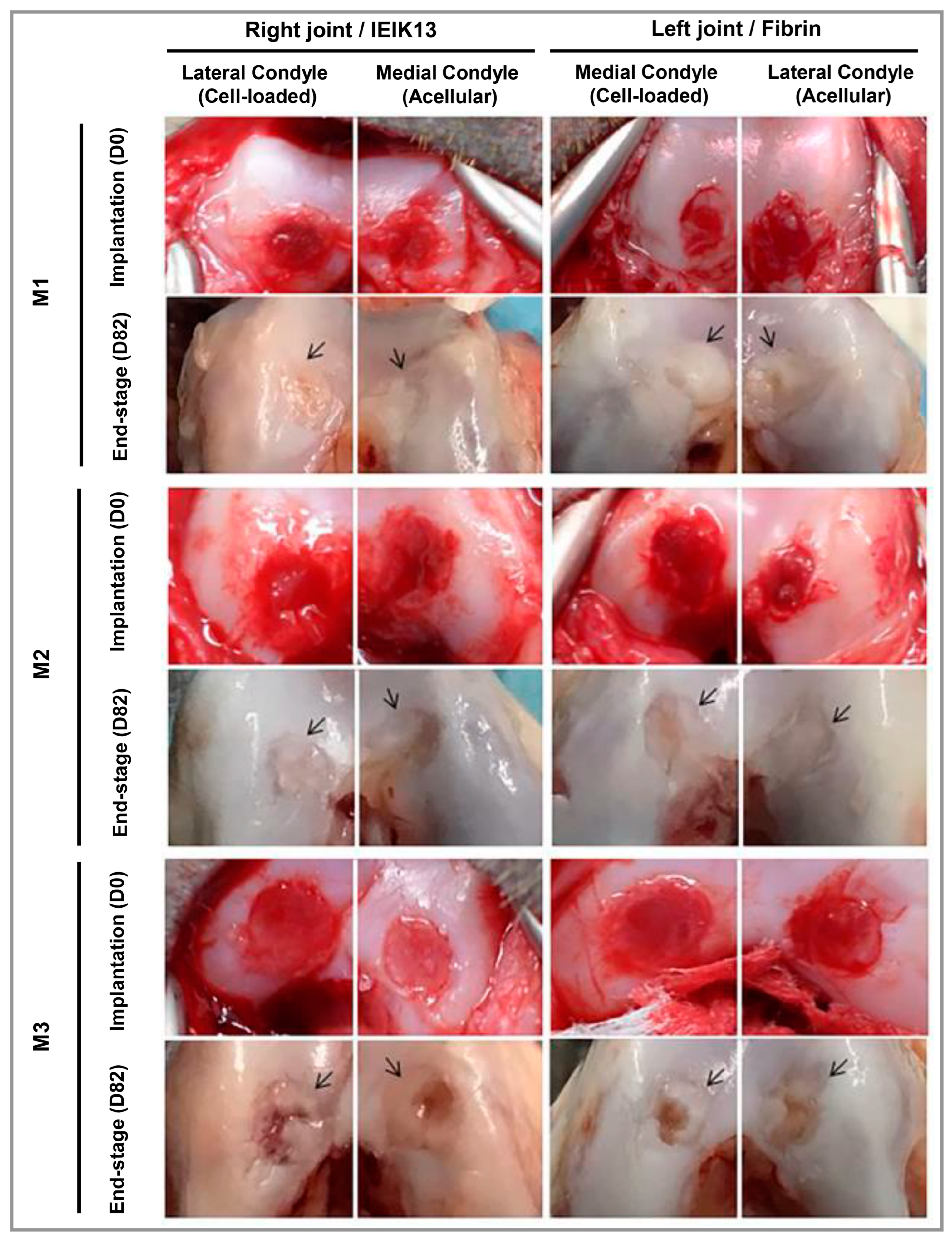 Polymers 15 01068 g004 Polymers 15 01068 g004
