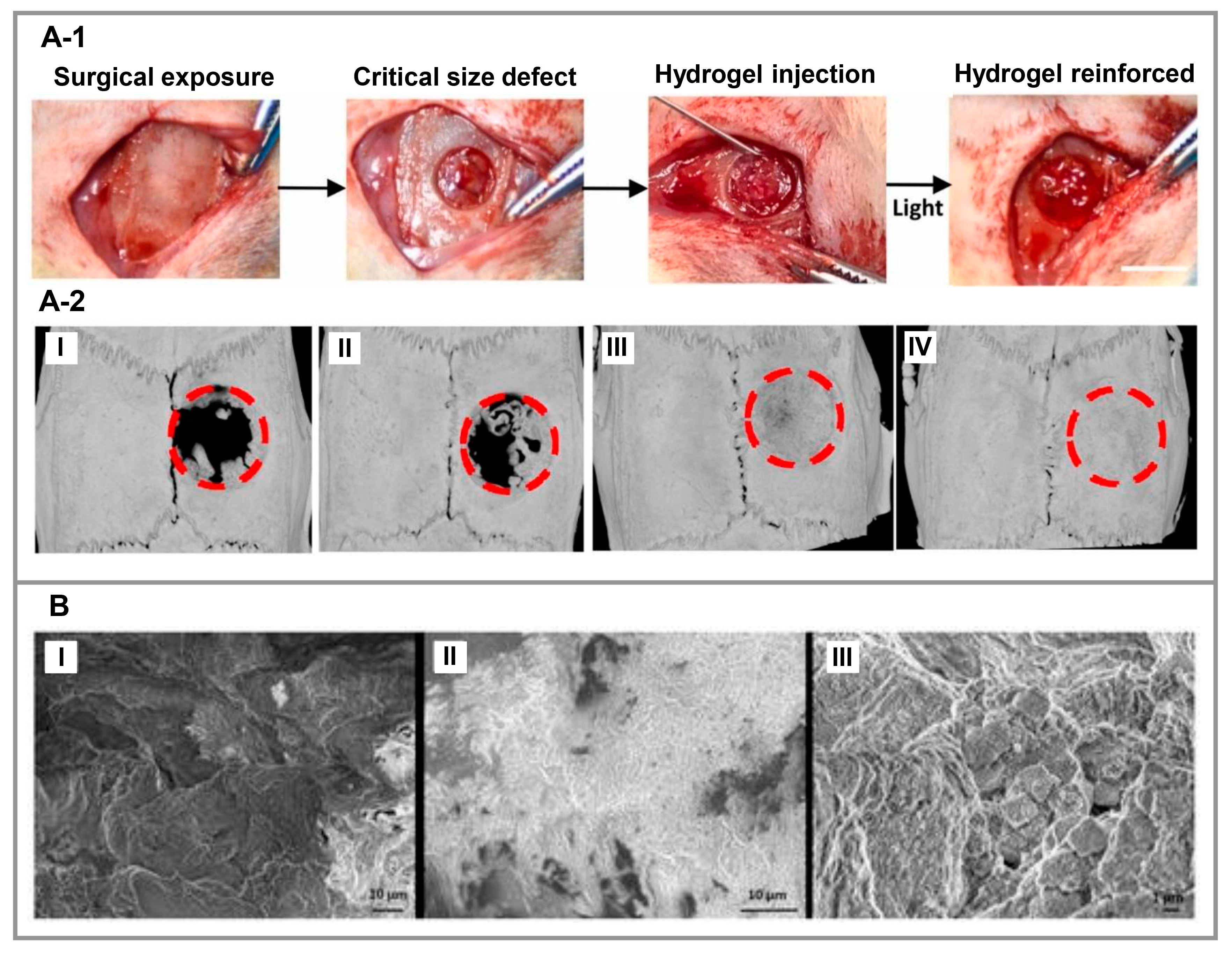 Polymers 15 01068 g005 Polymers 15 01068 g005