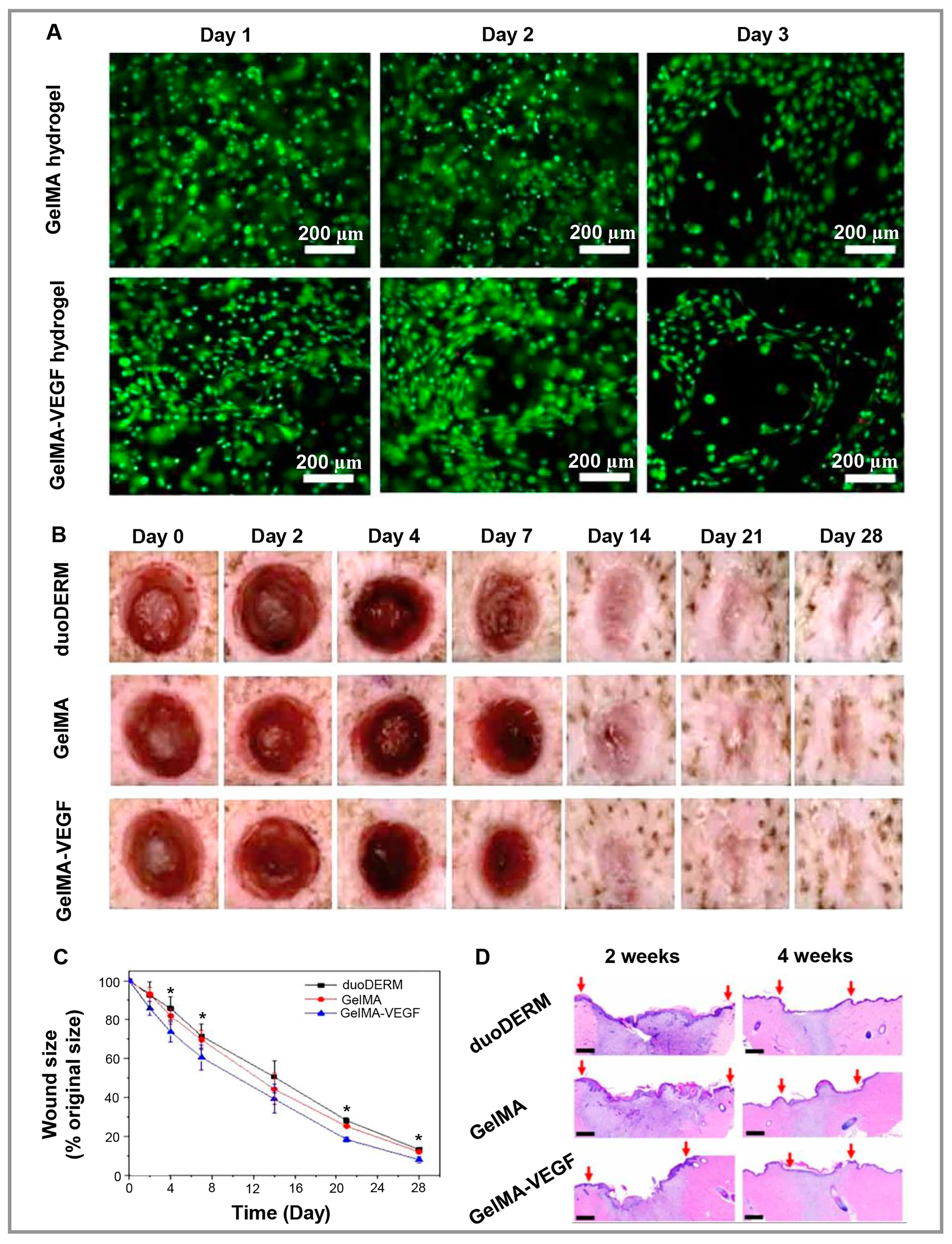 Polymers 15 01068 g006 Polymers 15 01068 g006