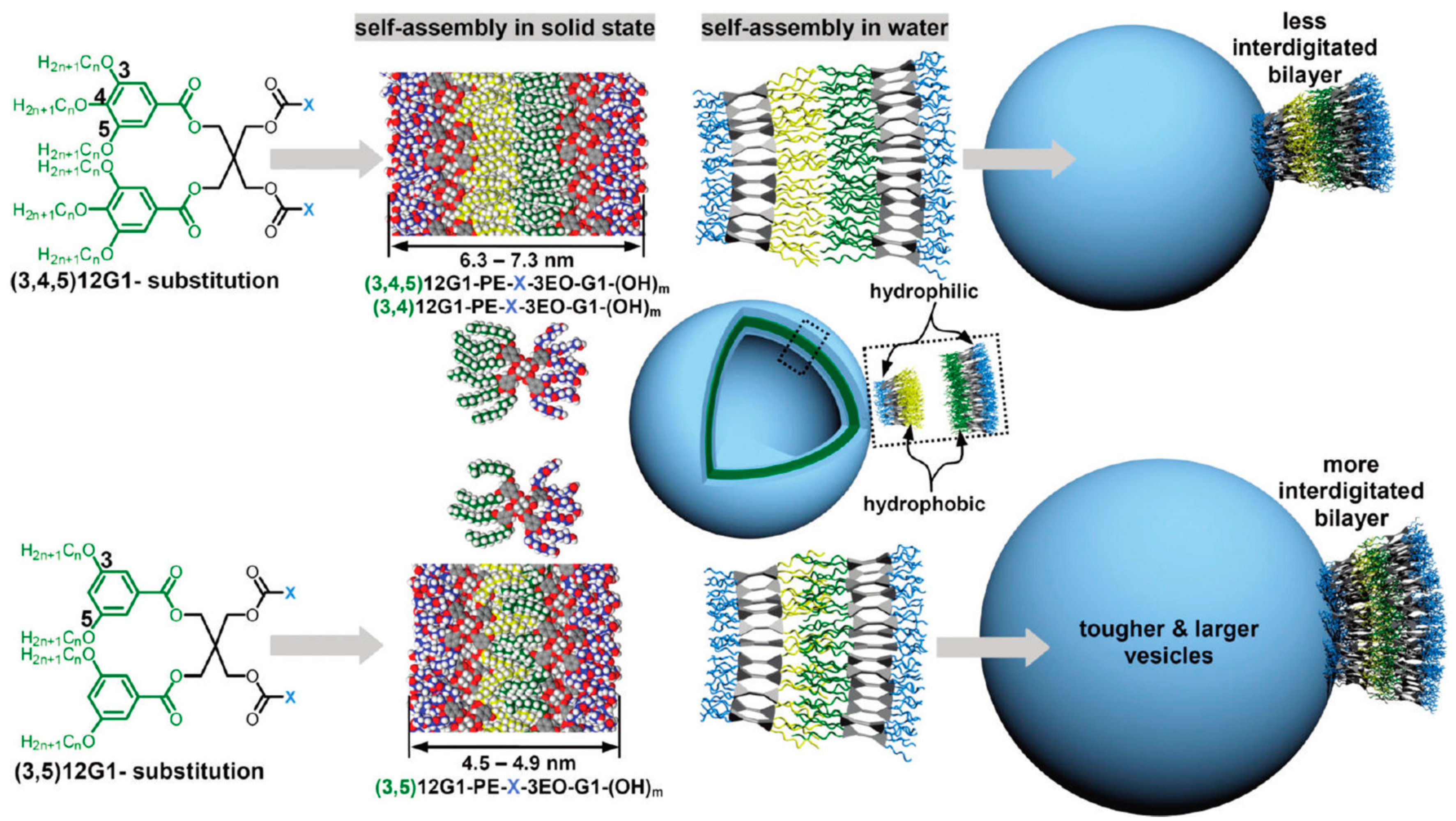 Polymers 15 01075 g010 Polymers 15 01075 g010