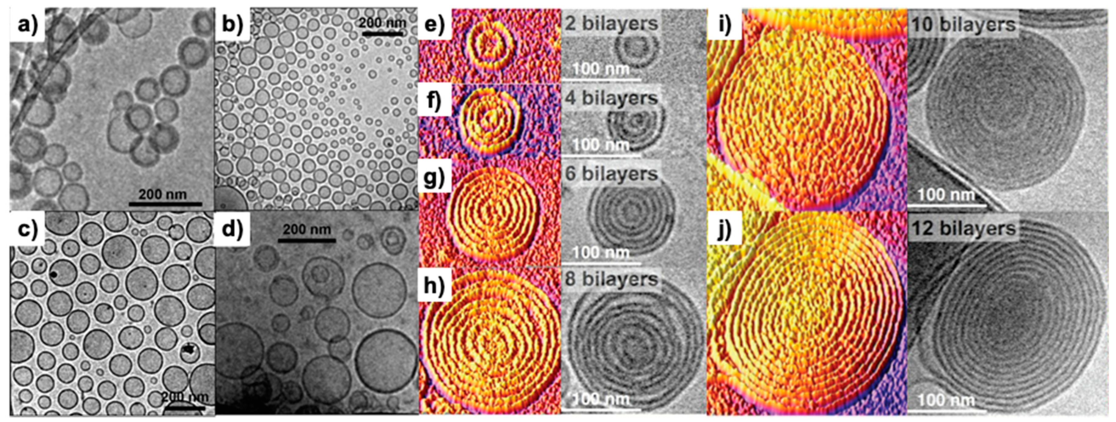 Polymers 15 01075 g013 Polymers 15 01075 g013