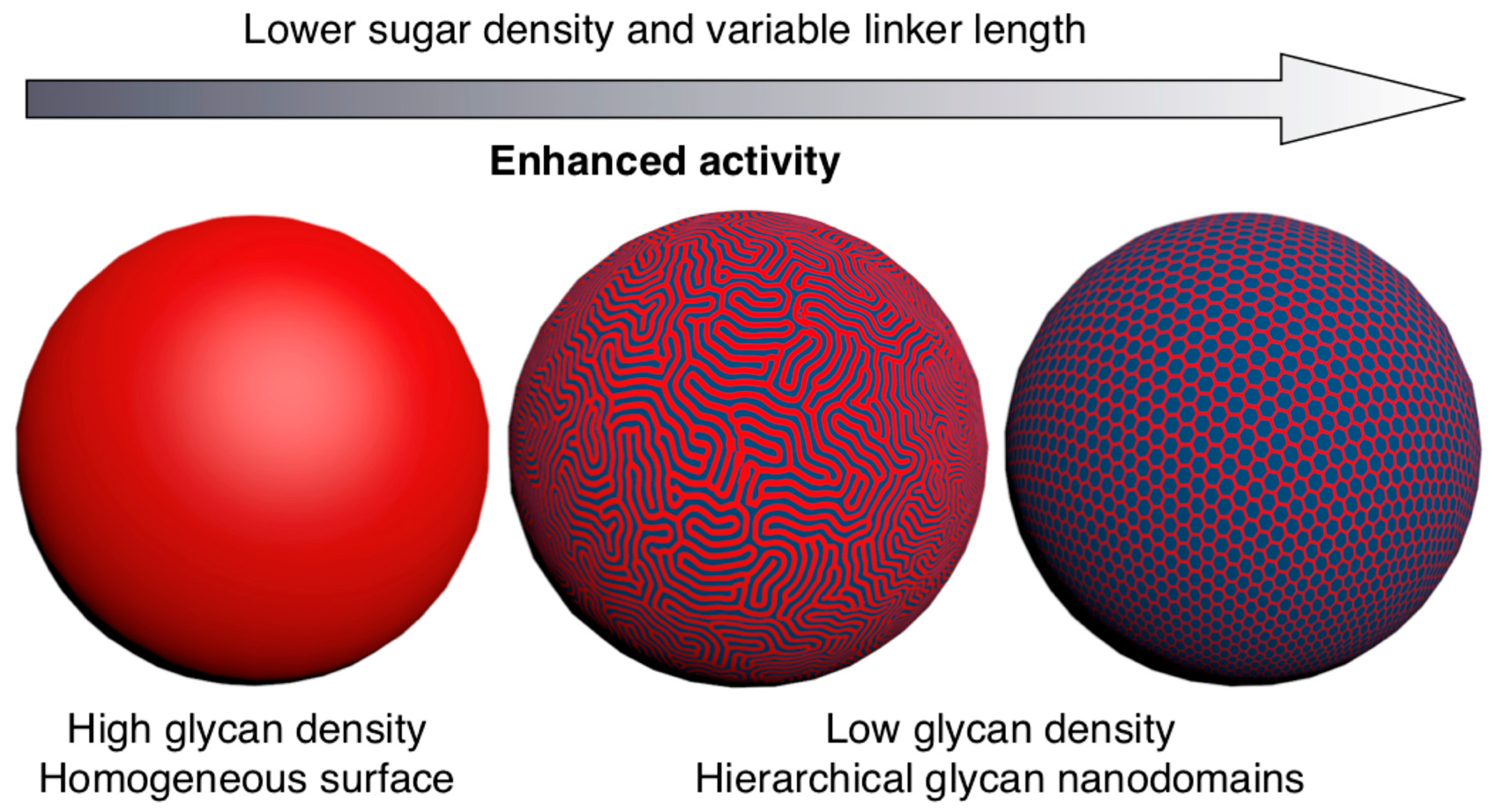 Polymers 15 01075 g016 Polymers 15 01075 g016