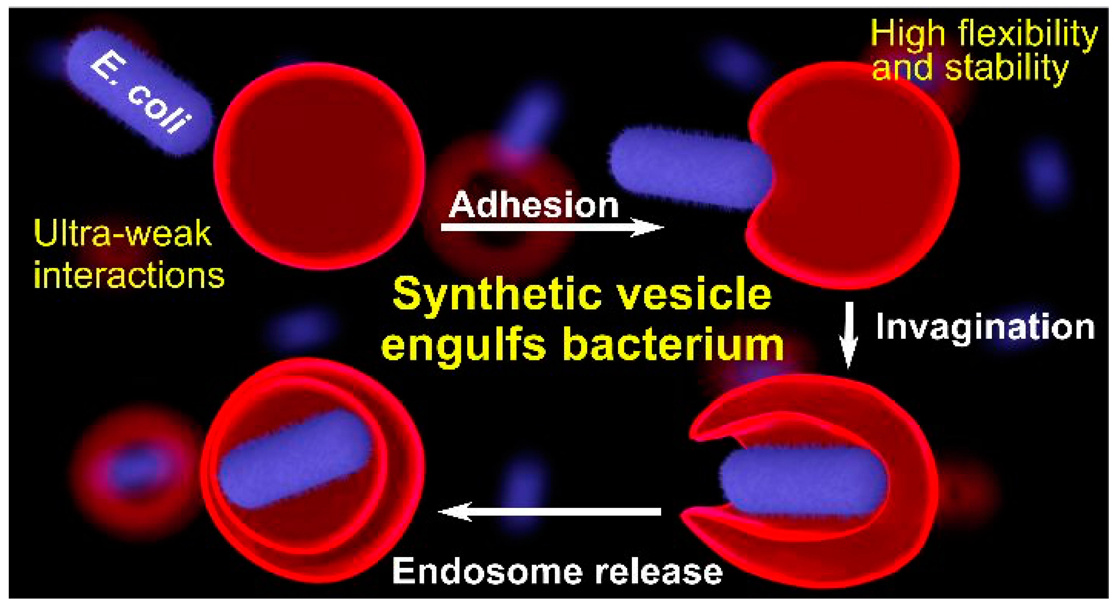Polymers 15 01075 g018 Polymers 15 01075 g018