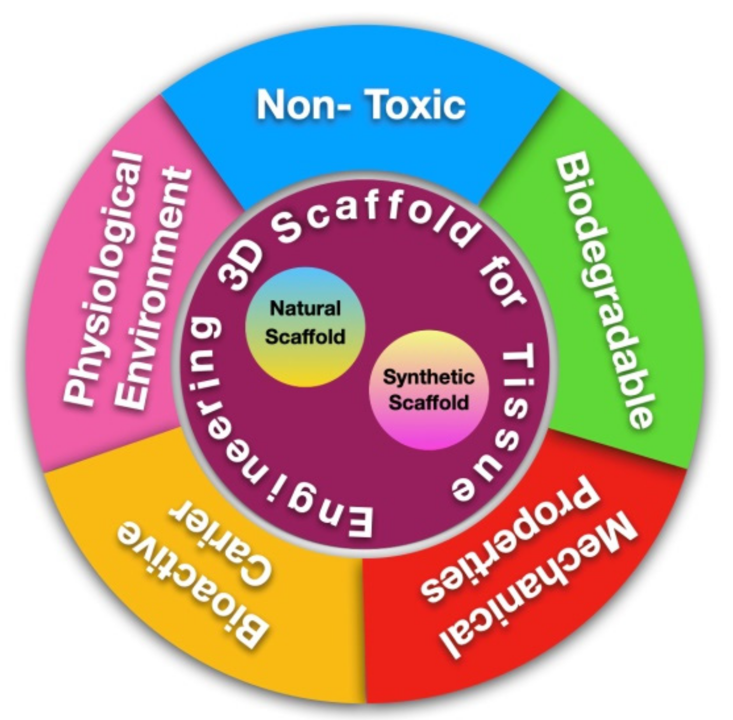 Polymers 15 01082 g001 Polymers 15 01082 g001