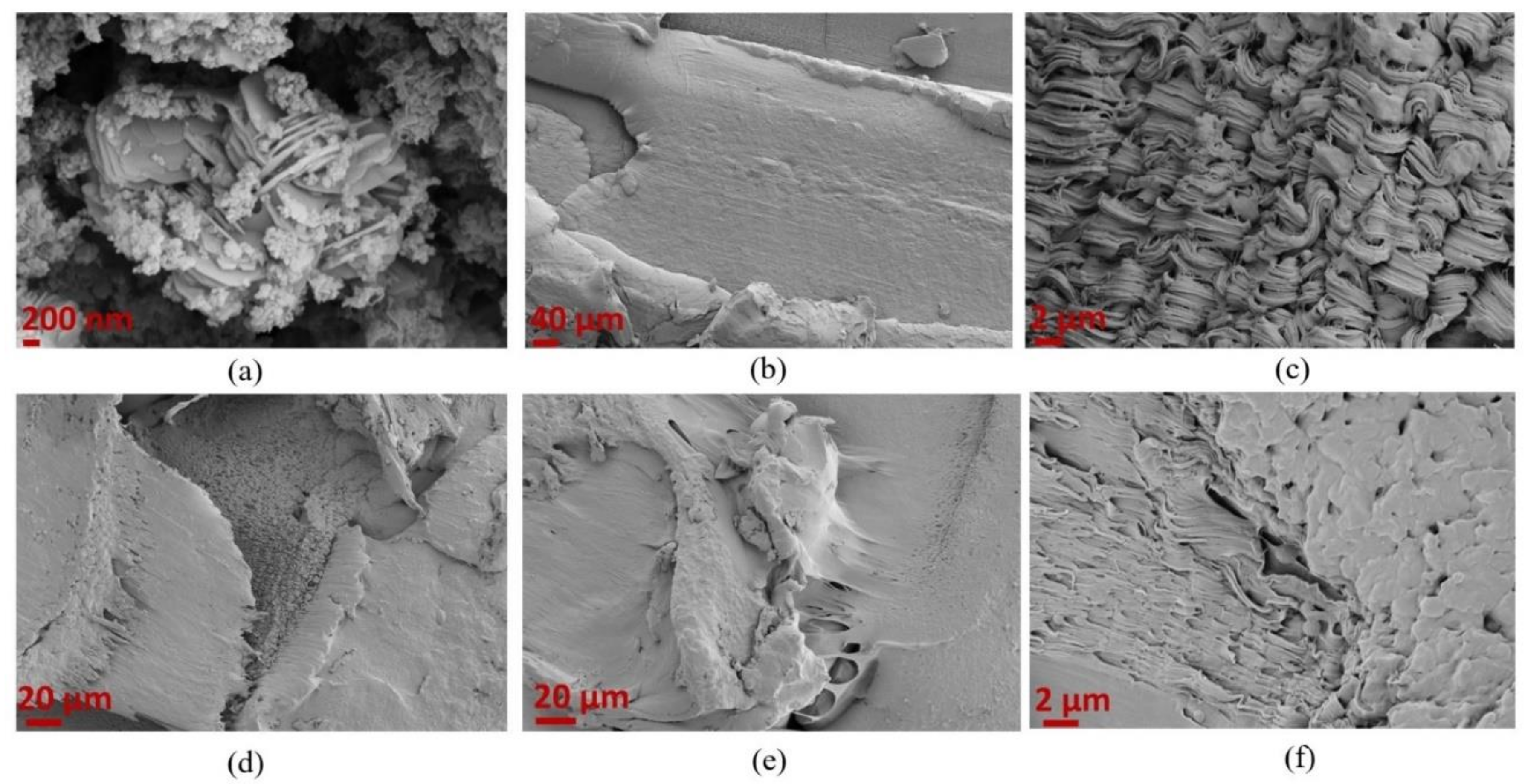 Polymers 15 01085 g008