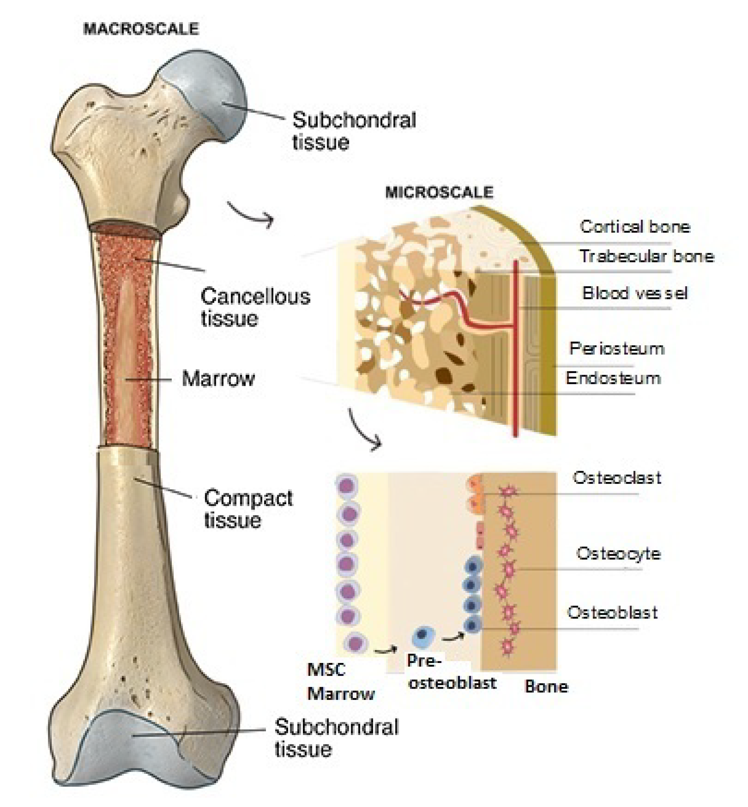 Polymers 15 01087 g001