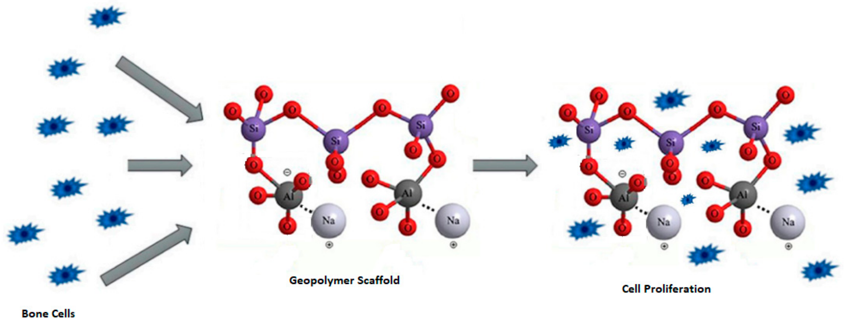 Polymers 15 01087 g002