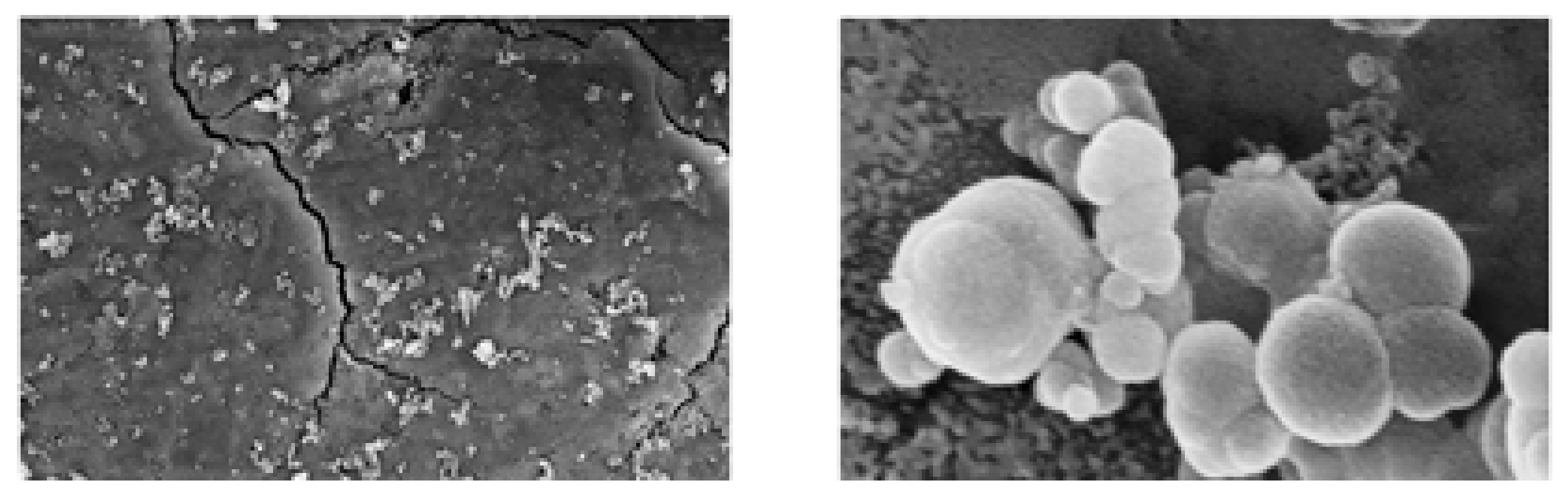 Polymers 15 01087 g009