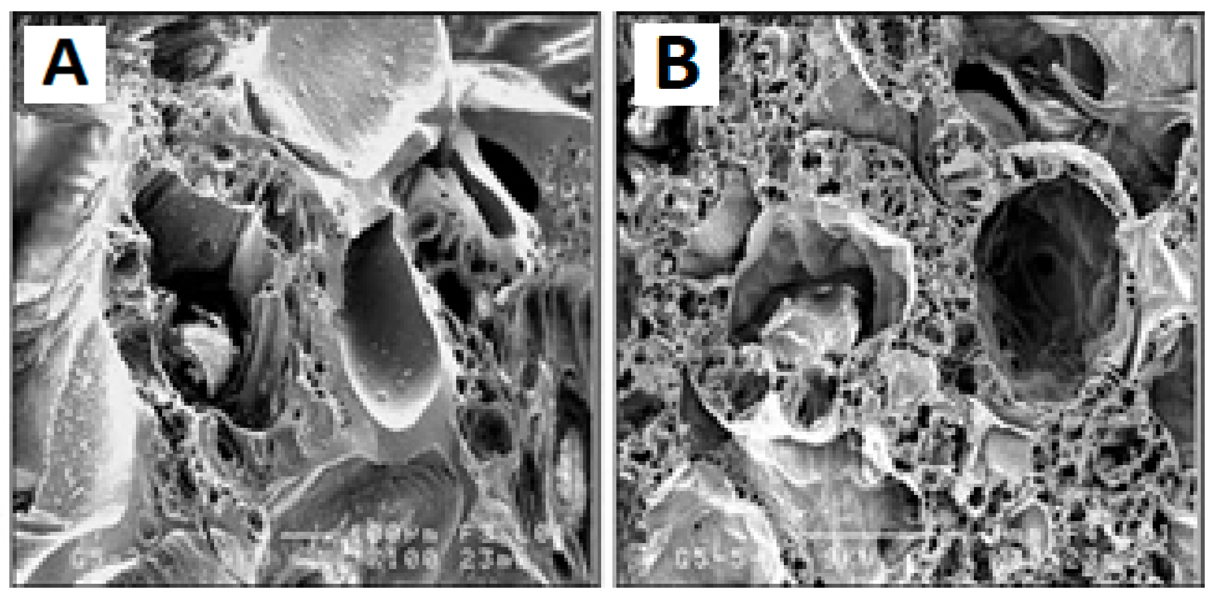 Polymers 15 01087 g012