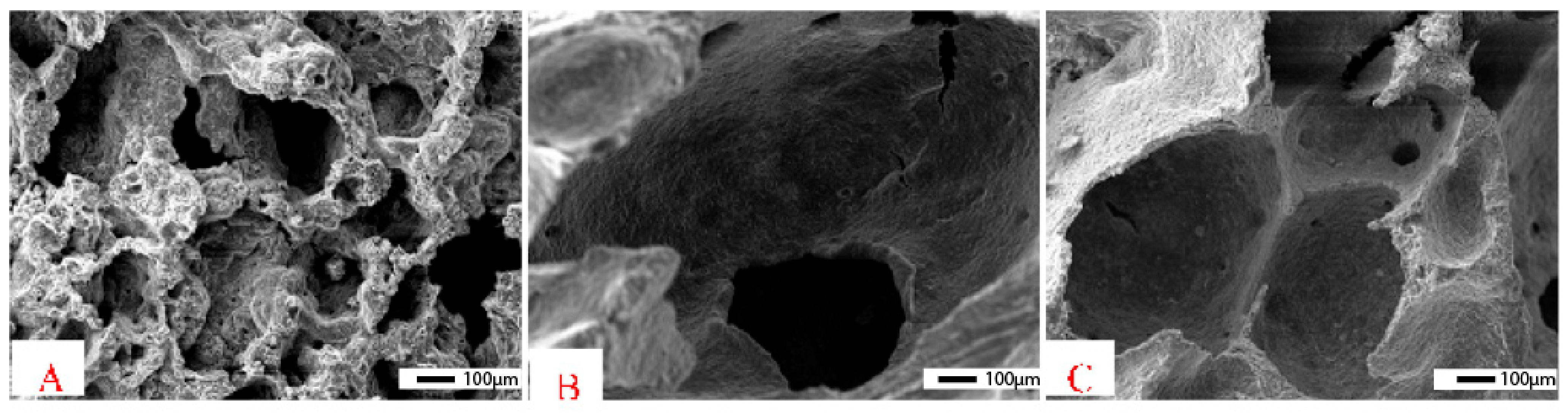 Polymers 15 01087 g013