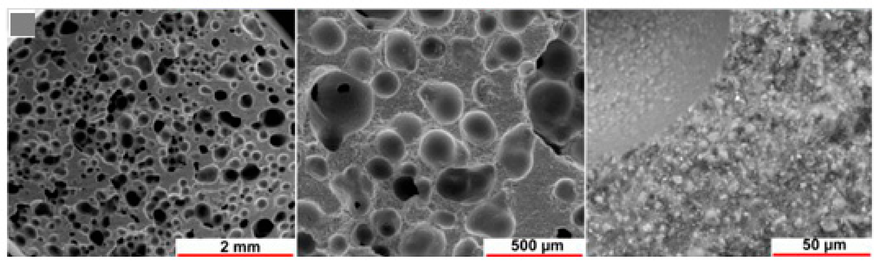 Polymers 15 01087 g014
