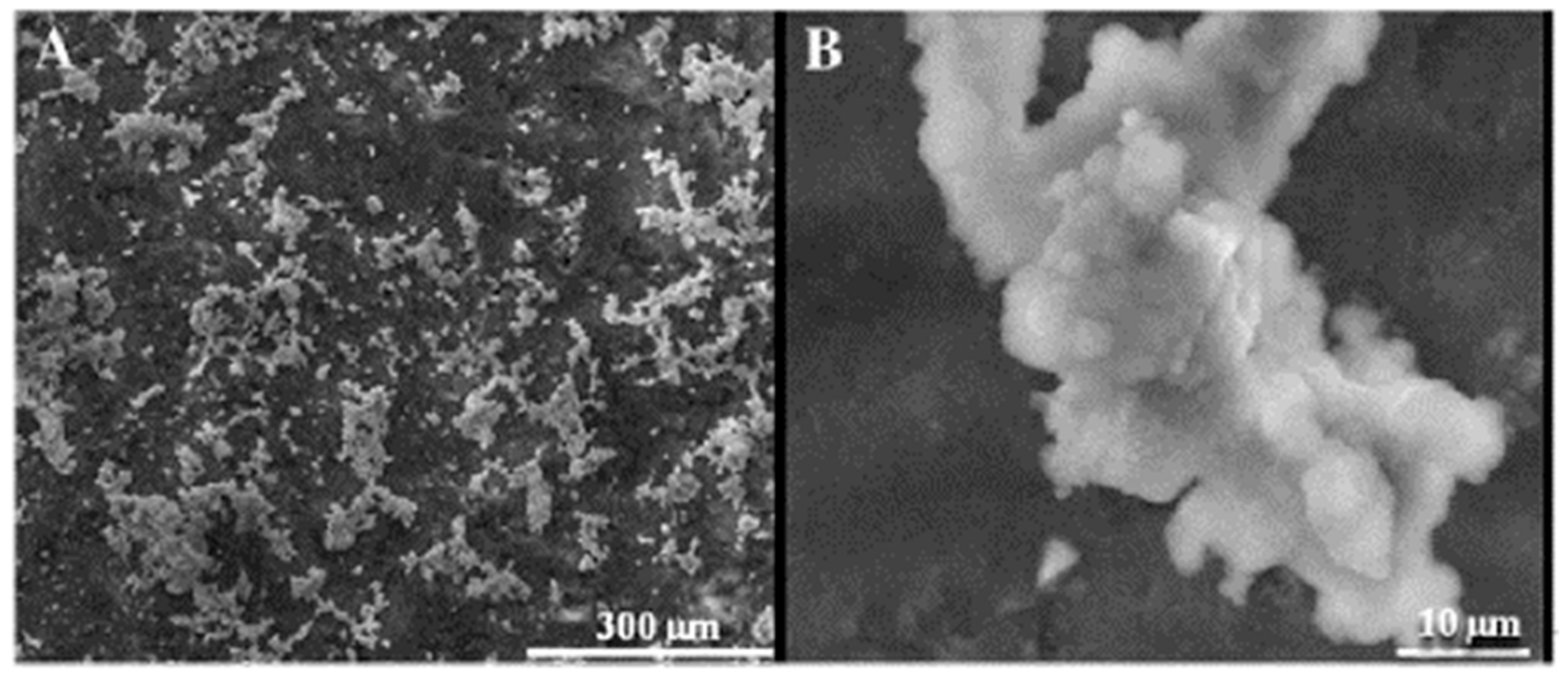 Polymers 15 01087 g015