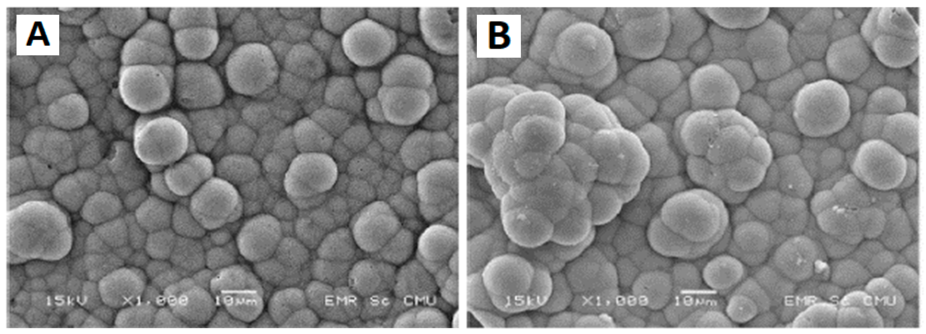 Polymers 15 01087 g016