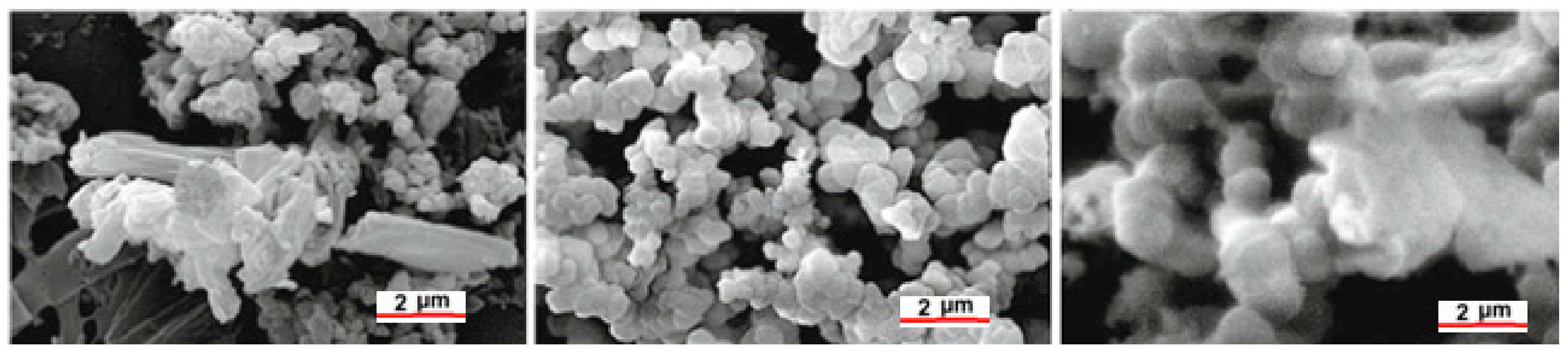 Polymers 15 01087 g017