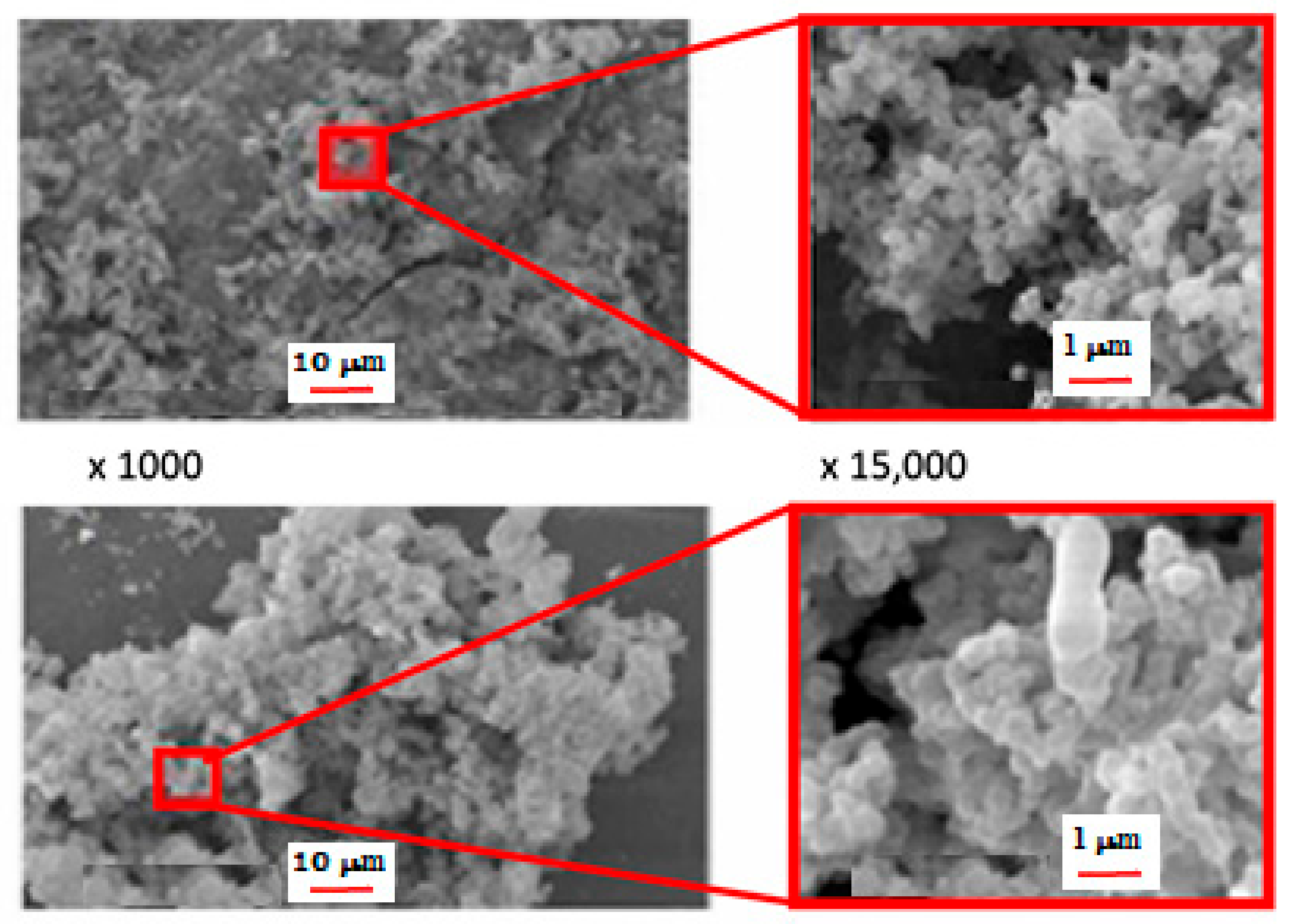 Polymers 15 01087 g020