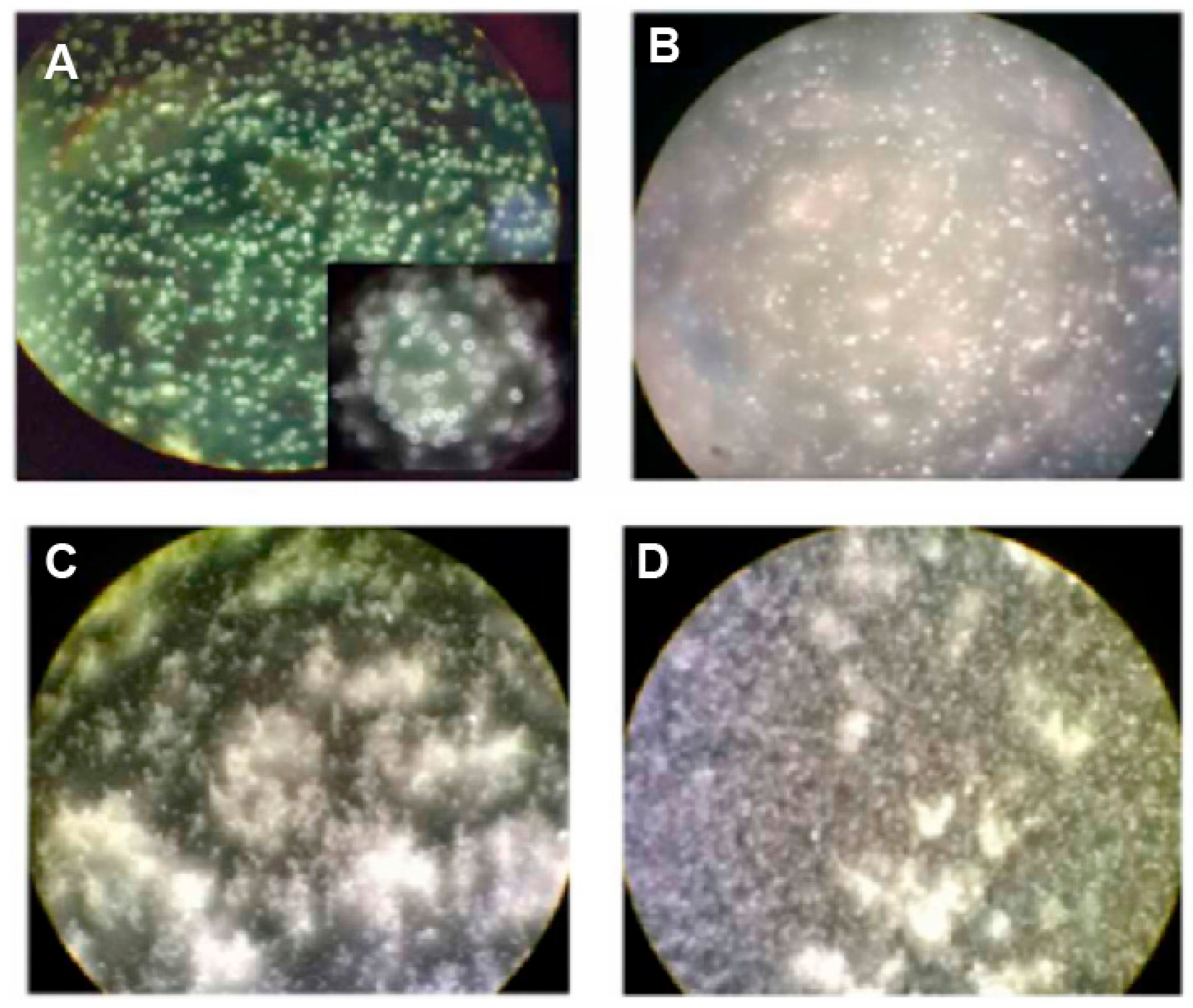 Polymers 15 01087 g021