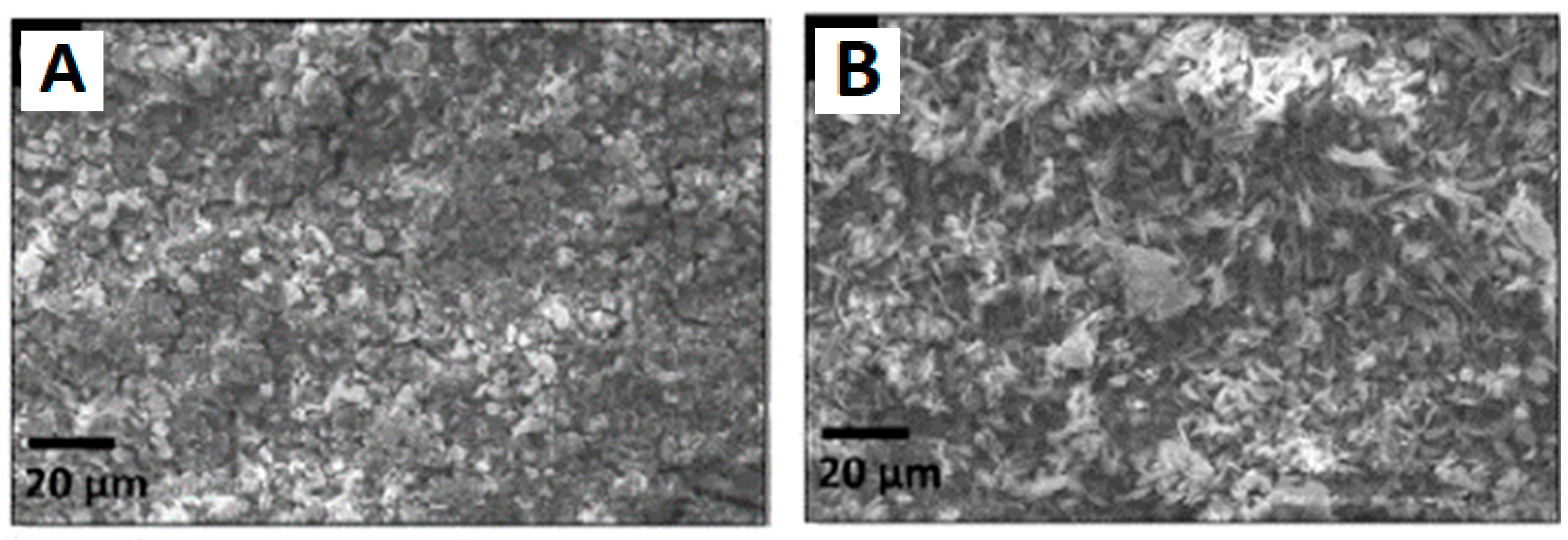 Polymers 15 01087 g023