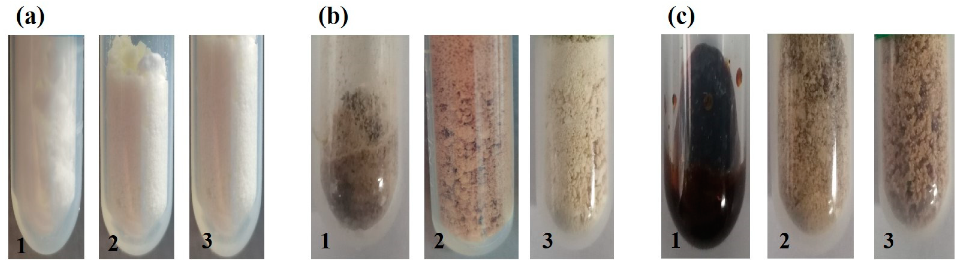Polymers 15 01088 g001 Polymers 15 01088 g001
