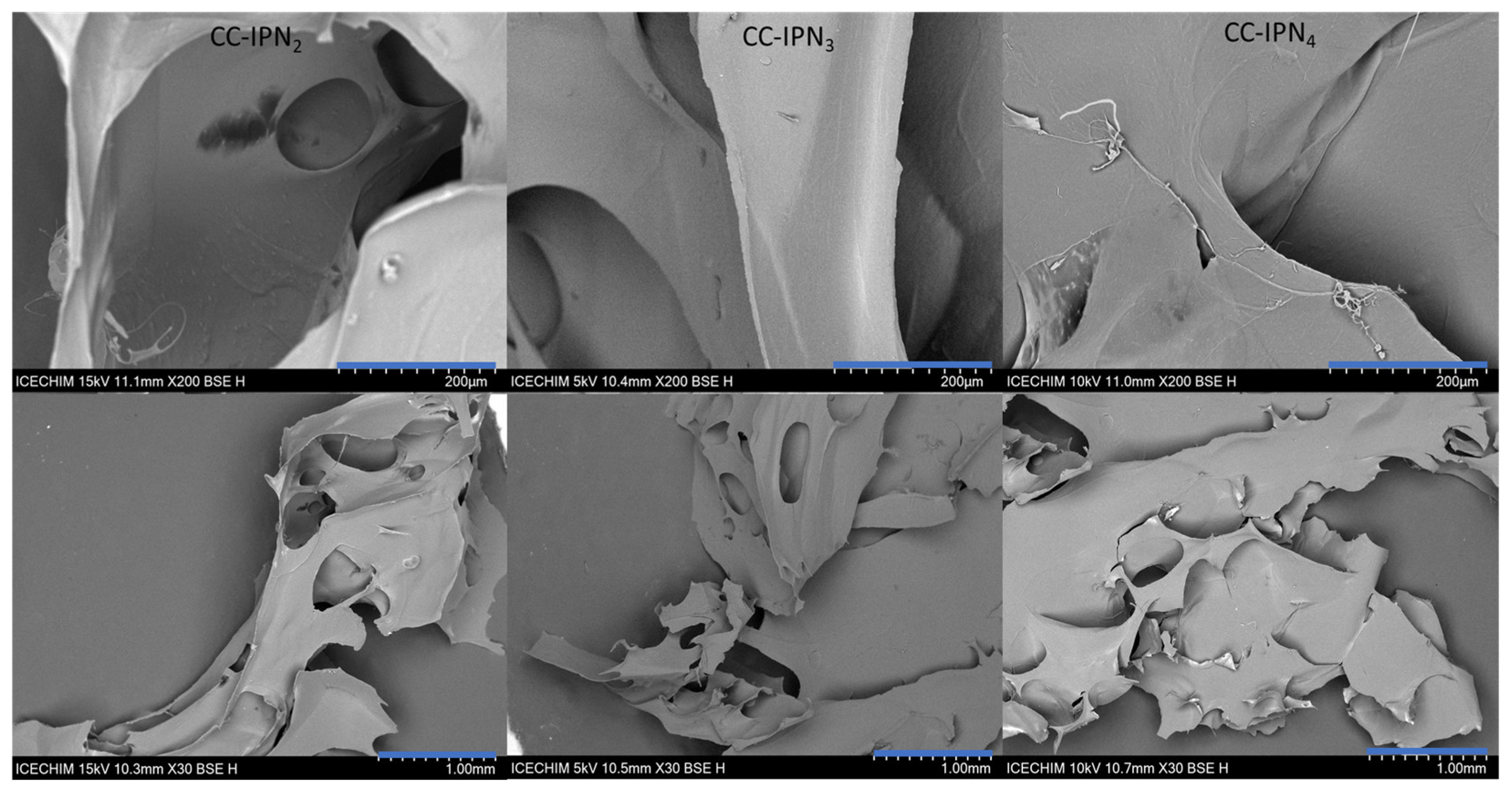 Polymers 15 01091 g005 Polymers 15 01091 g005