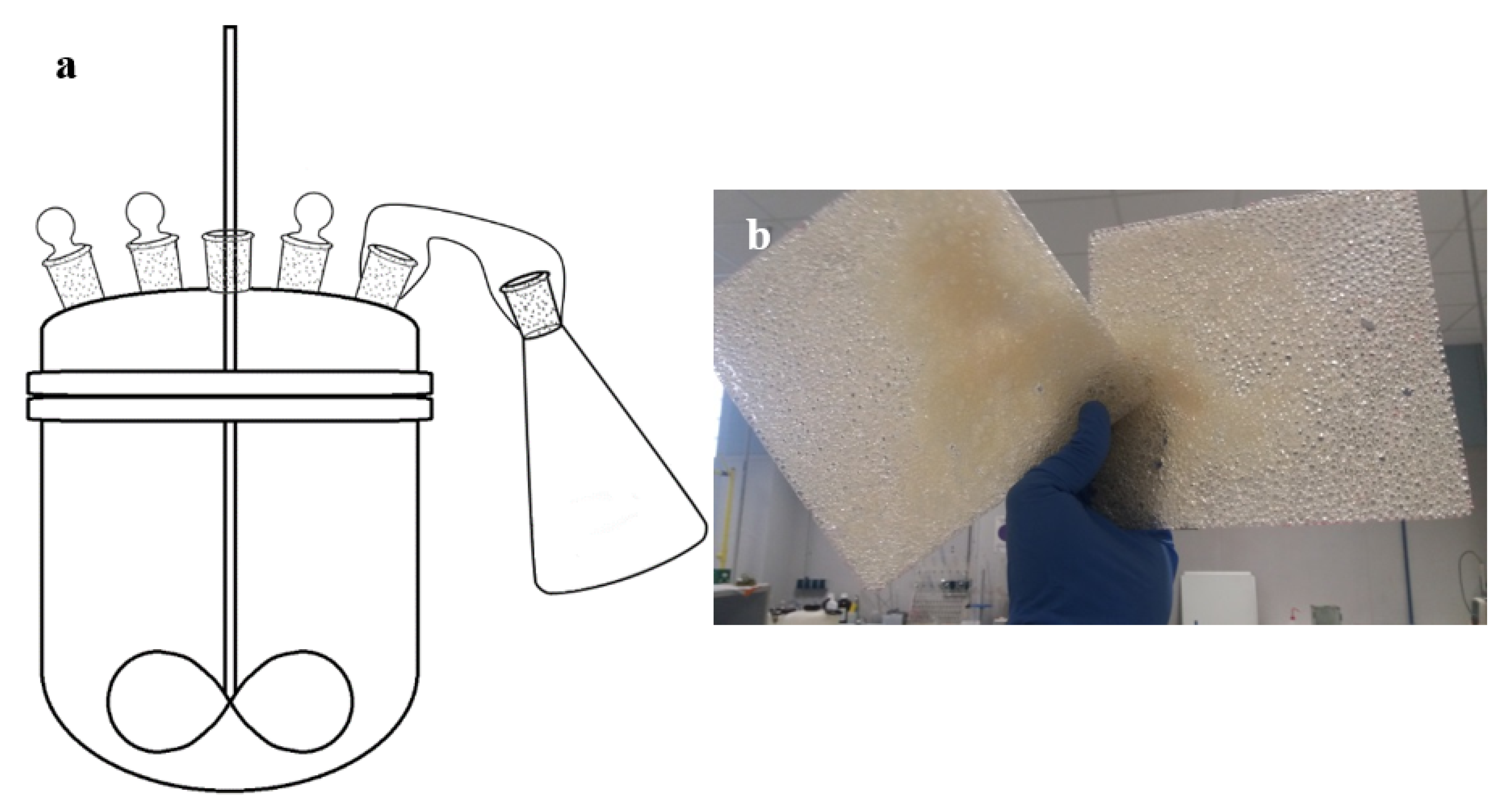 Polymers 15 01093 g001 Polymers 15 01093 g001