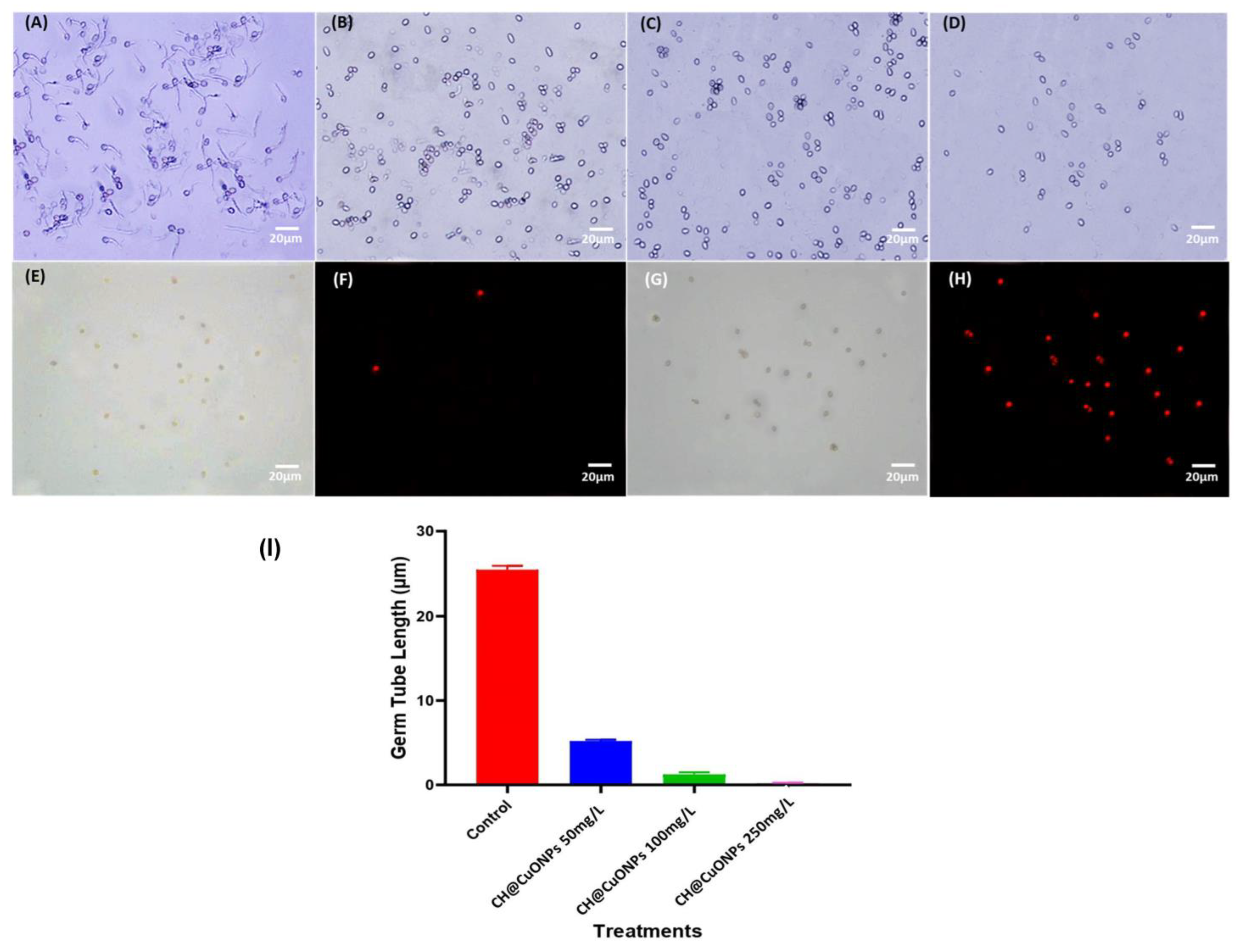 Polymers 15 01099 g003 Polymers 15 01099 g003