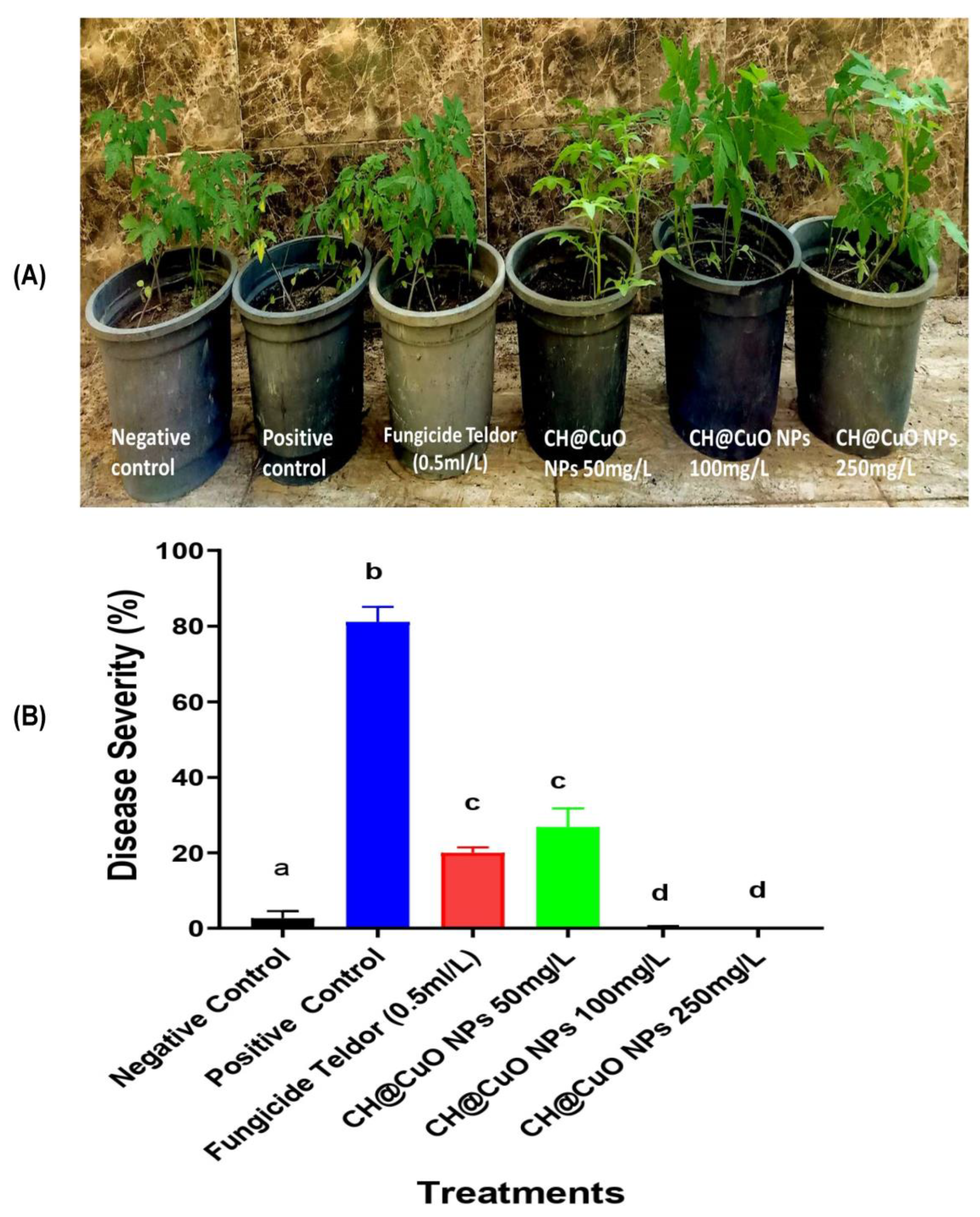 Polymers 15 01099 g007 Polymers 15 01099 g007