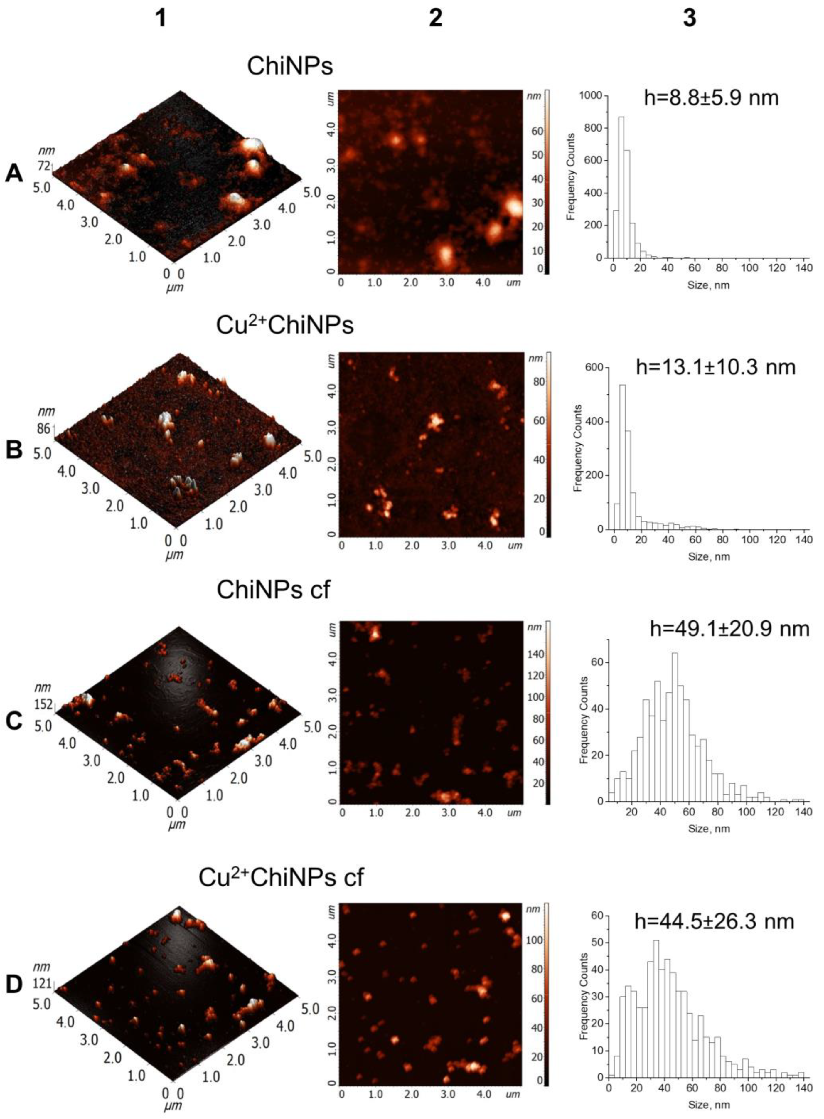 Polymers 15 01100 g001 Polymers 15 01100 g001