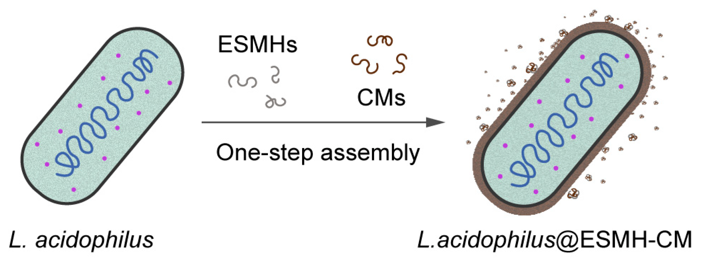 Polymers 15 01104 g001 Polymers 15 01104 g001