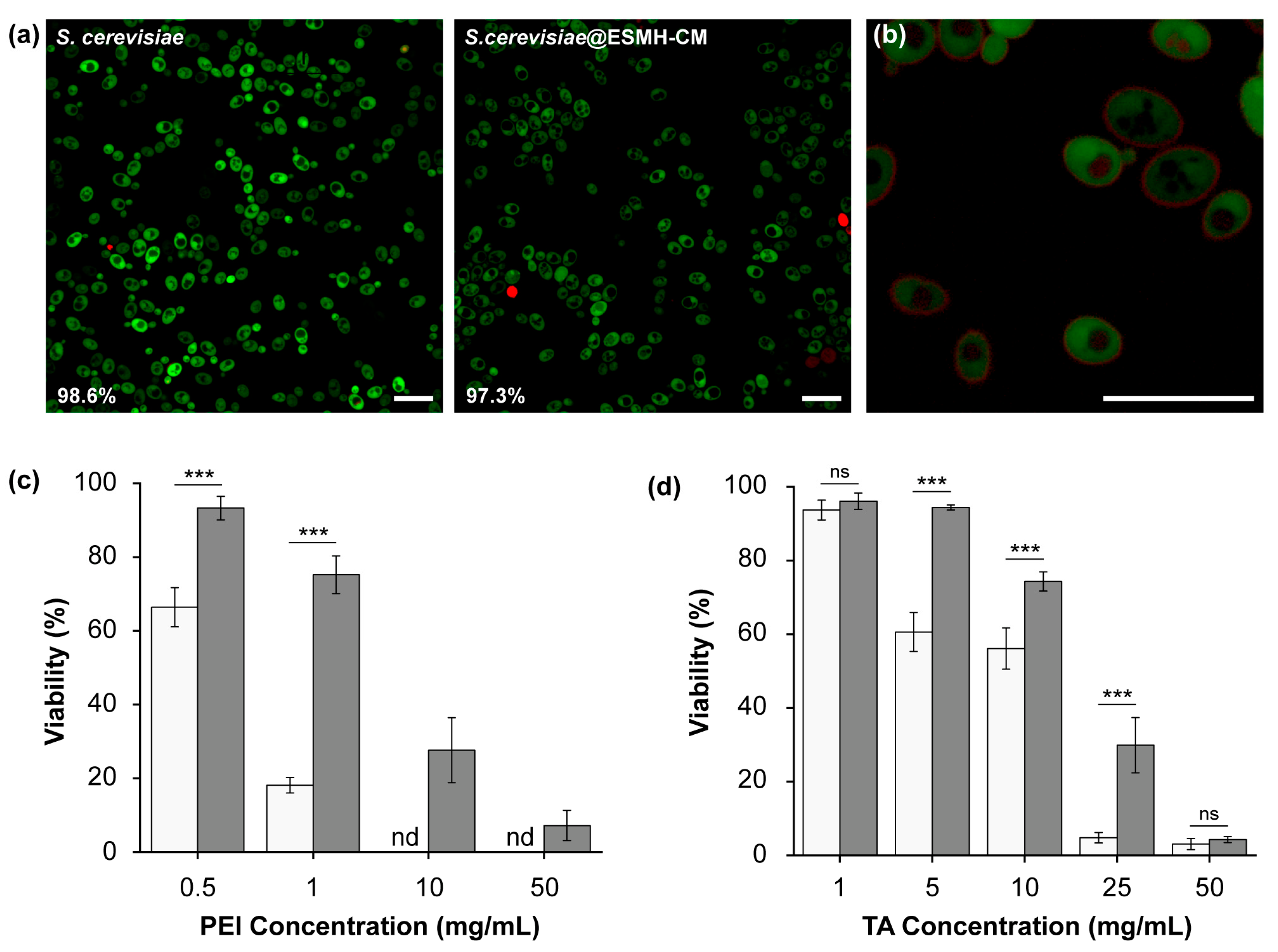 Polymers 15 01104 g003 Polymers 15 01104 g003
