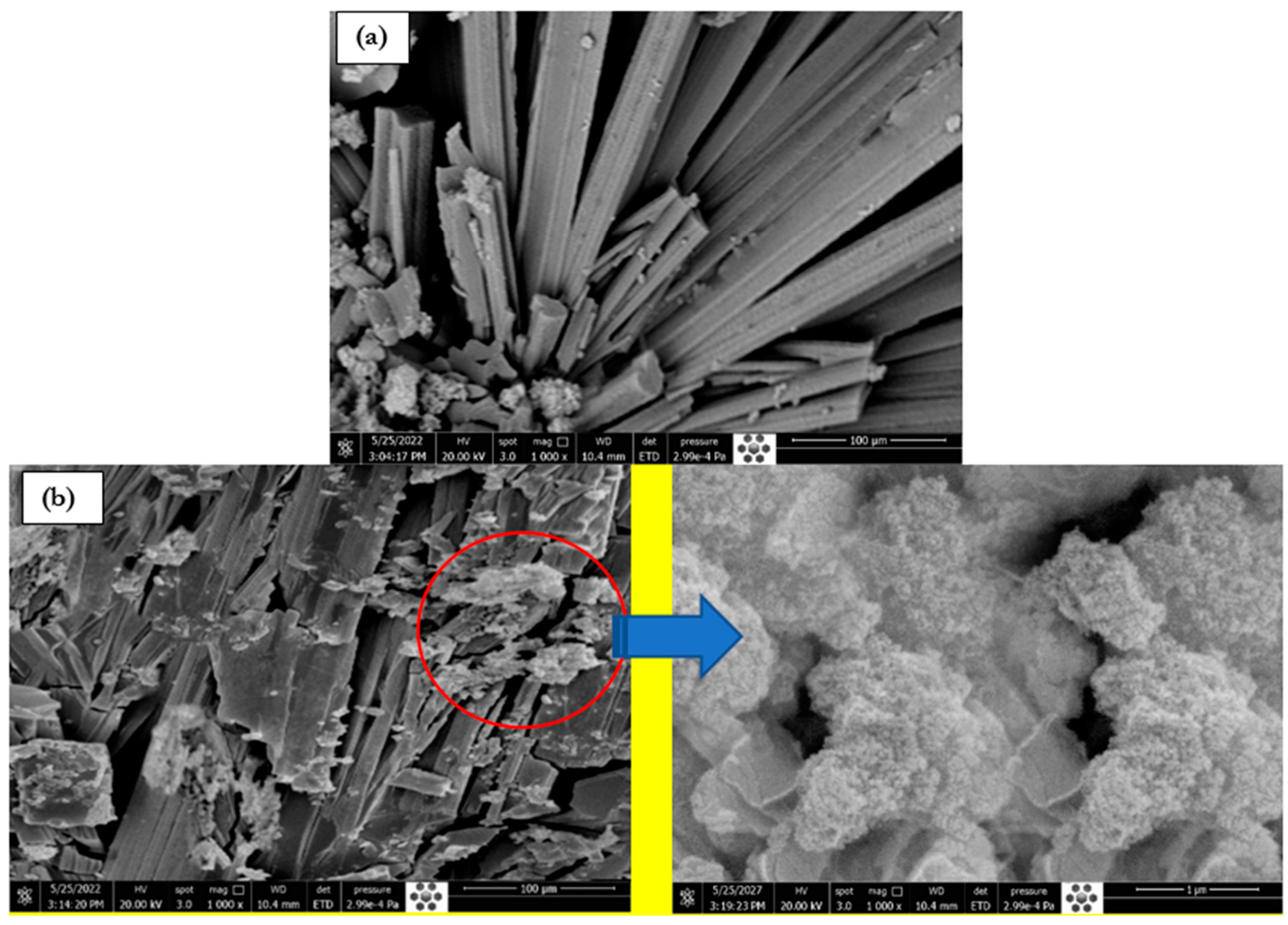 Polymers 15 01111 g004 Polymers 15 01111 g004