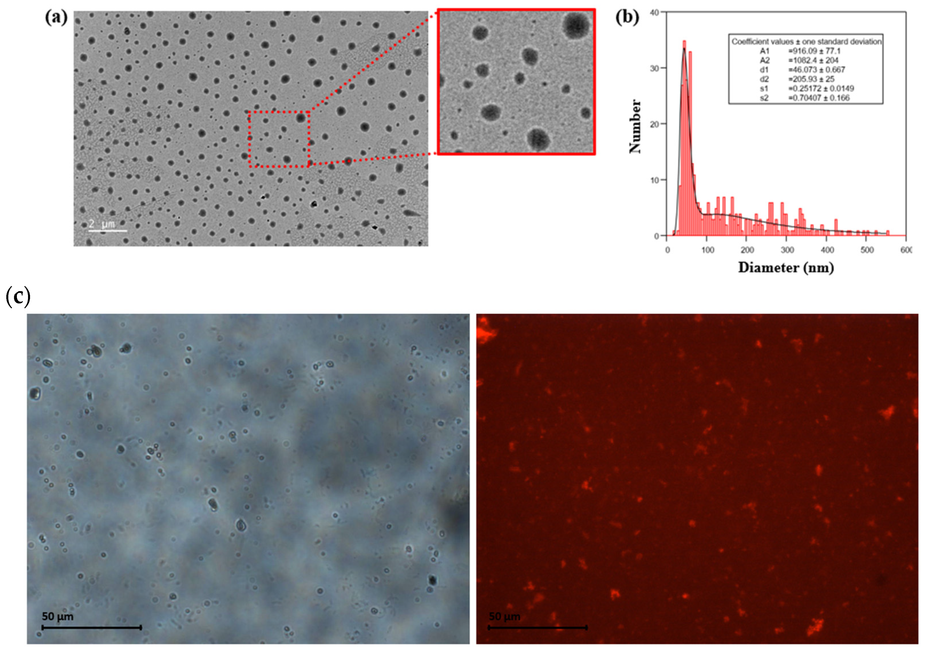 Polymers 15 01112 g002 Polymers 15 01112 g002