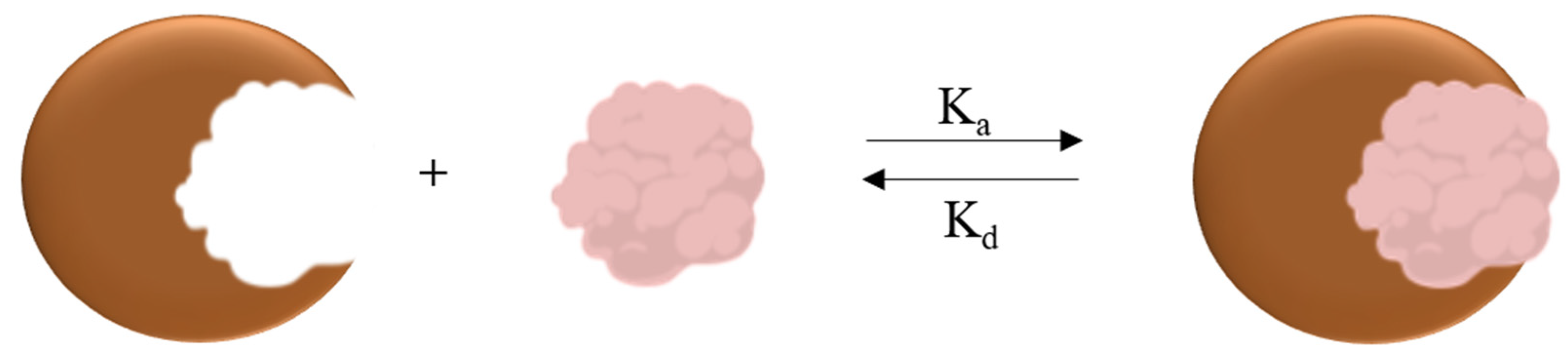 Polymers 15 01112 sch003 Polymers 15 01112 sch003