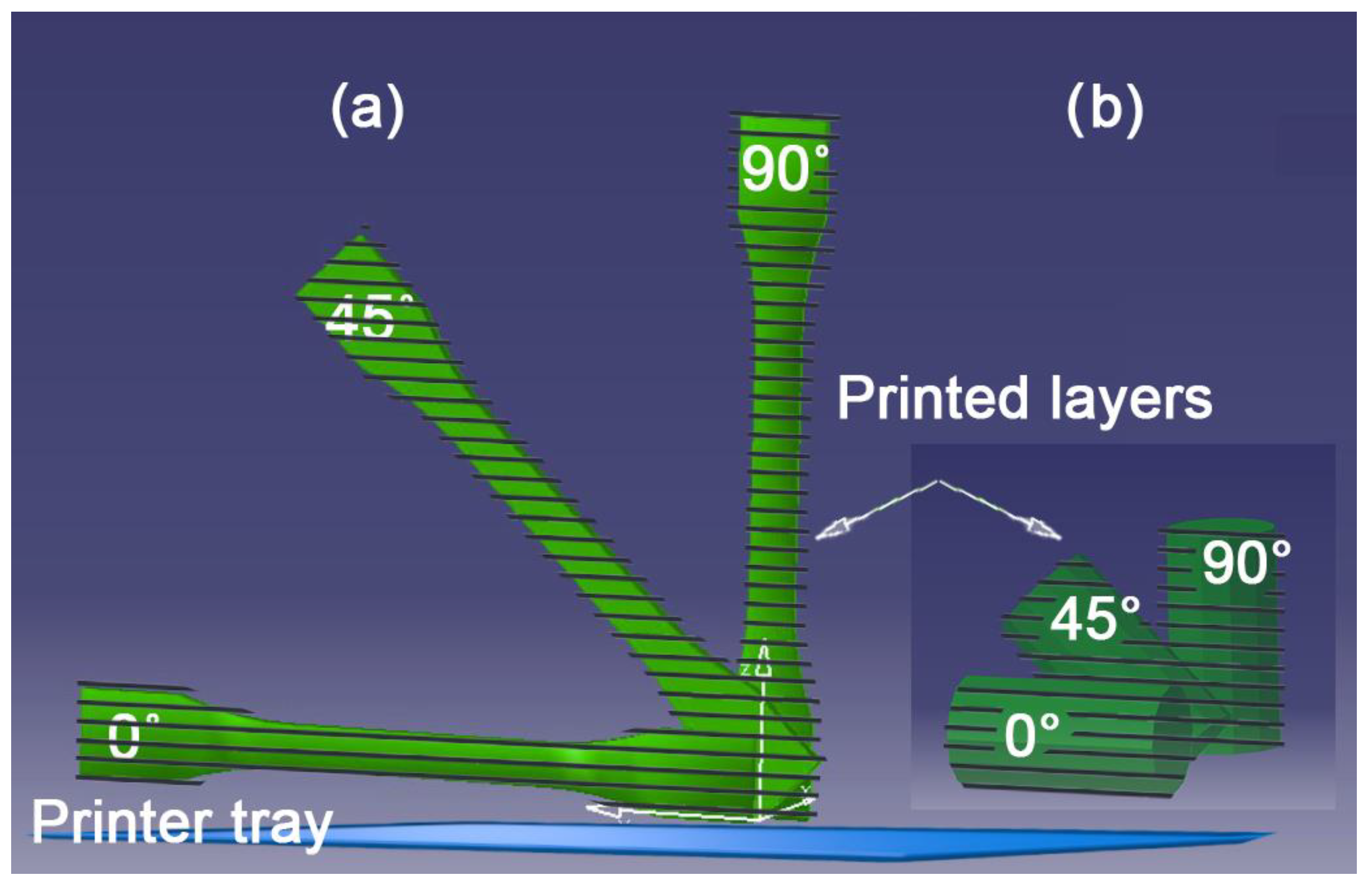 Polymers Free FullText The Influence of Printing Layer Thickness and Orientation on the