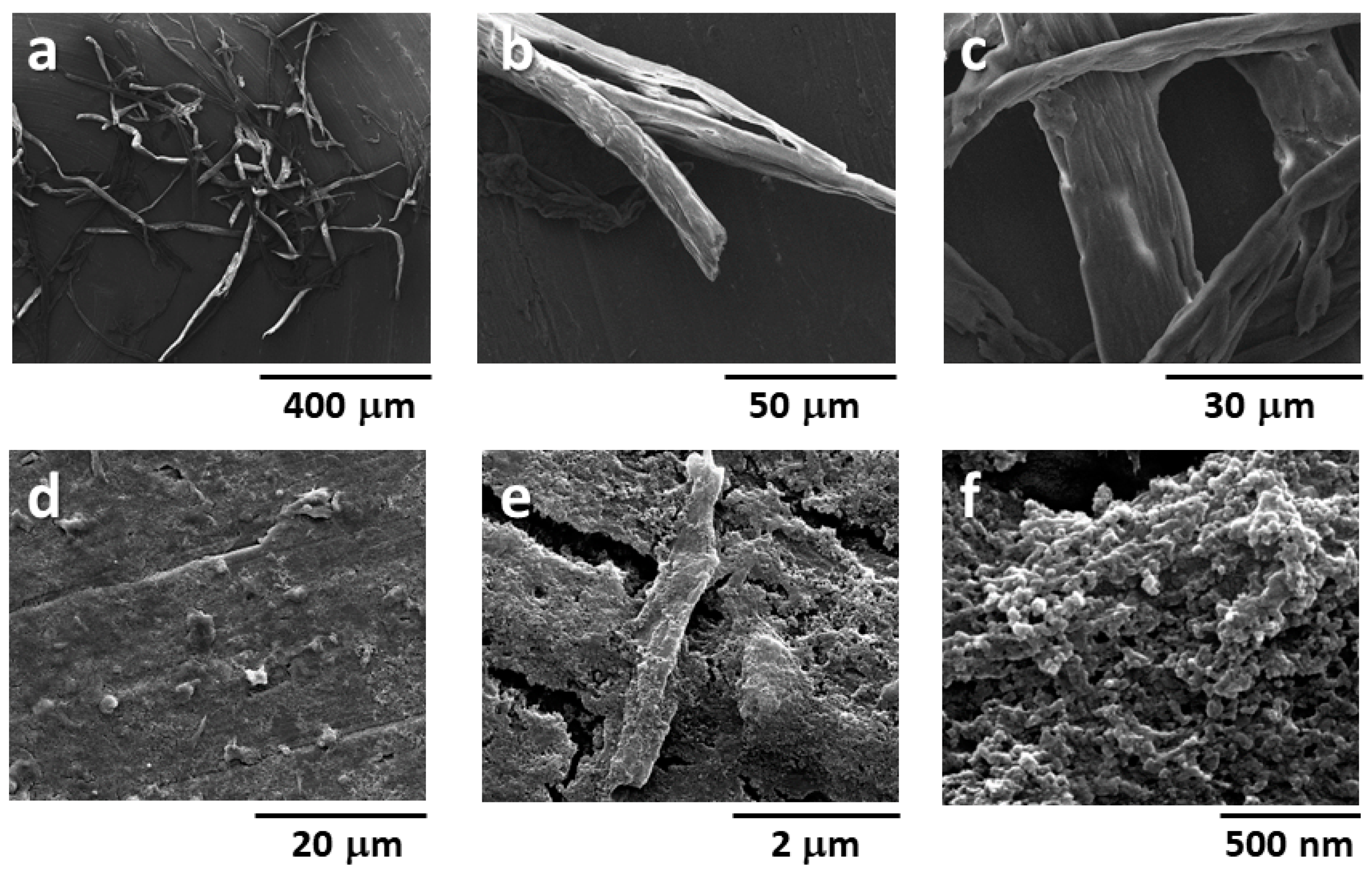 Polymers 15 01115 g005 Polymers 15 01115 g005