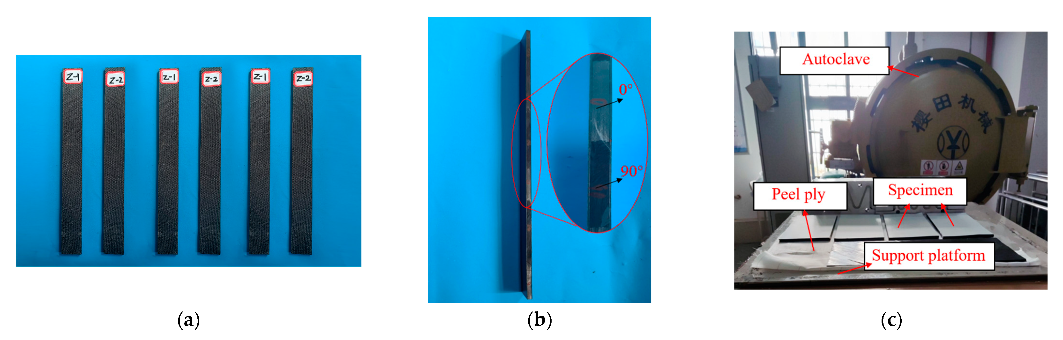 Polymers 15 01118 g004
