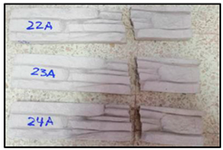 Polymers 15 01122 i006 Polymers 15 01122 i006