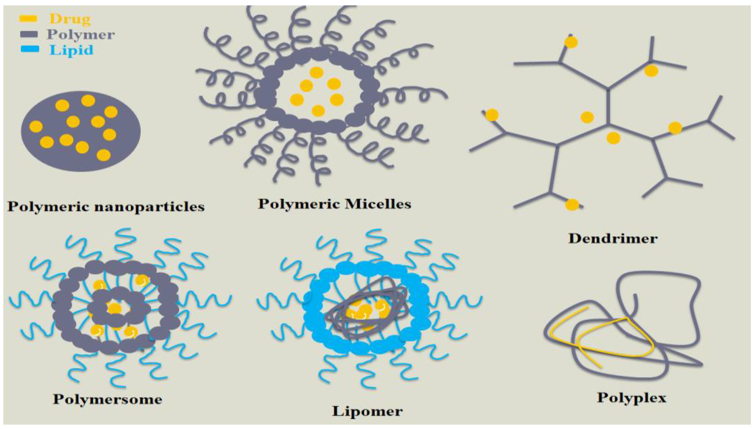 Polymers Free Full Text Polymeric Nanoparticles for Delivery of Polymers Free Full Text Polymeric Nanoparticles for Delivery of