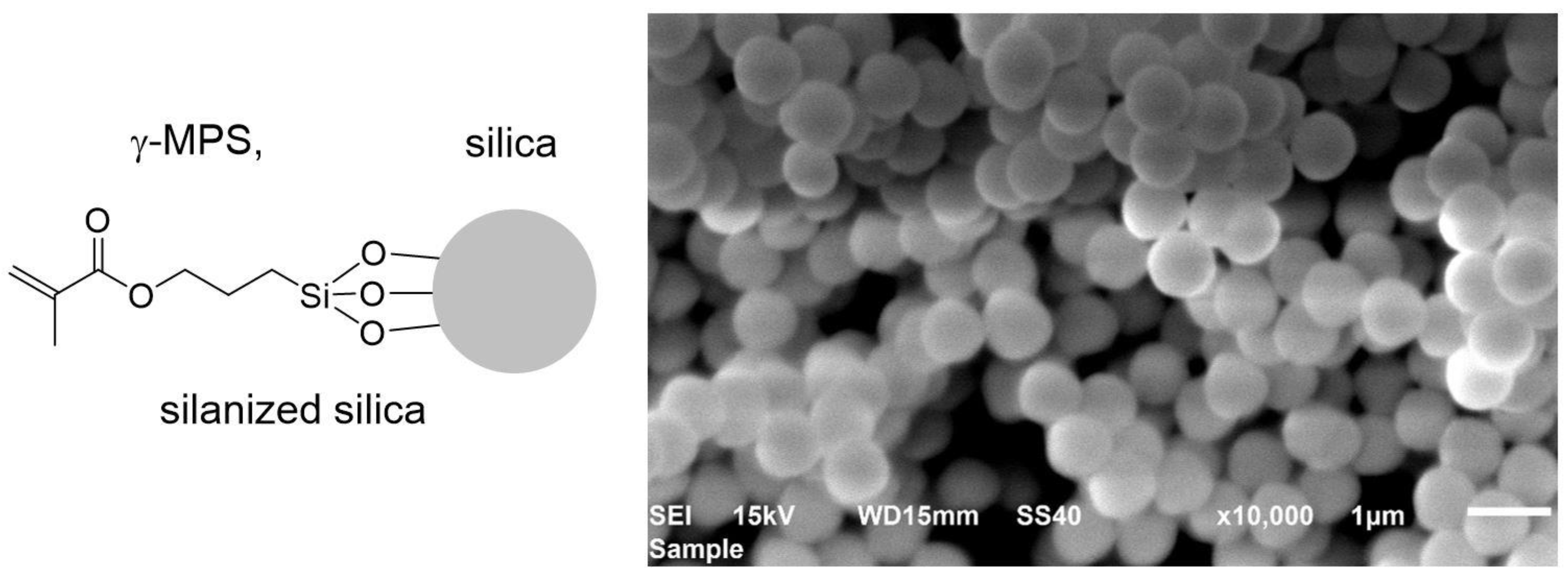 Polymers 15 01124 g003 Polymers 15 01124 g003