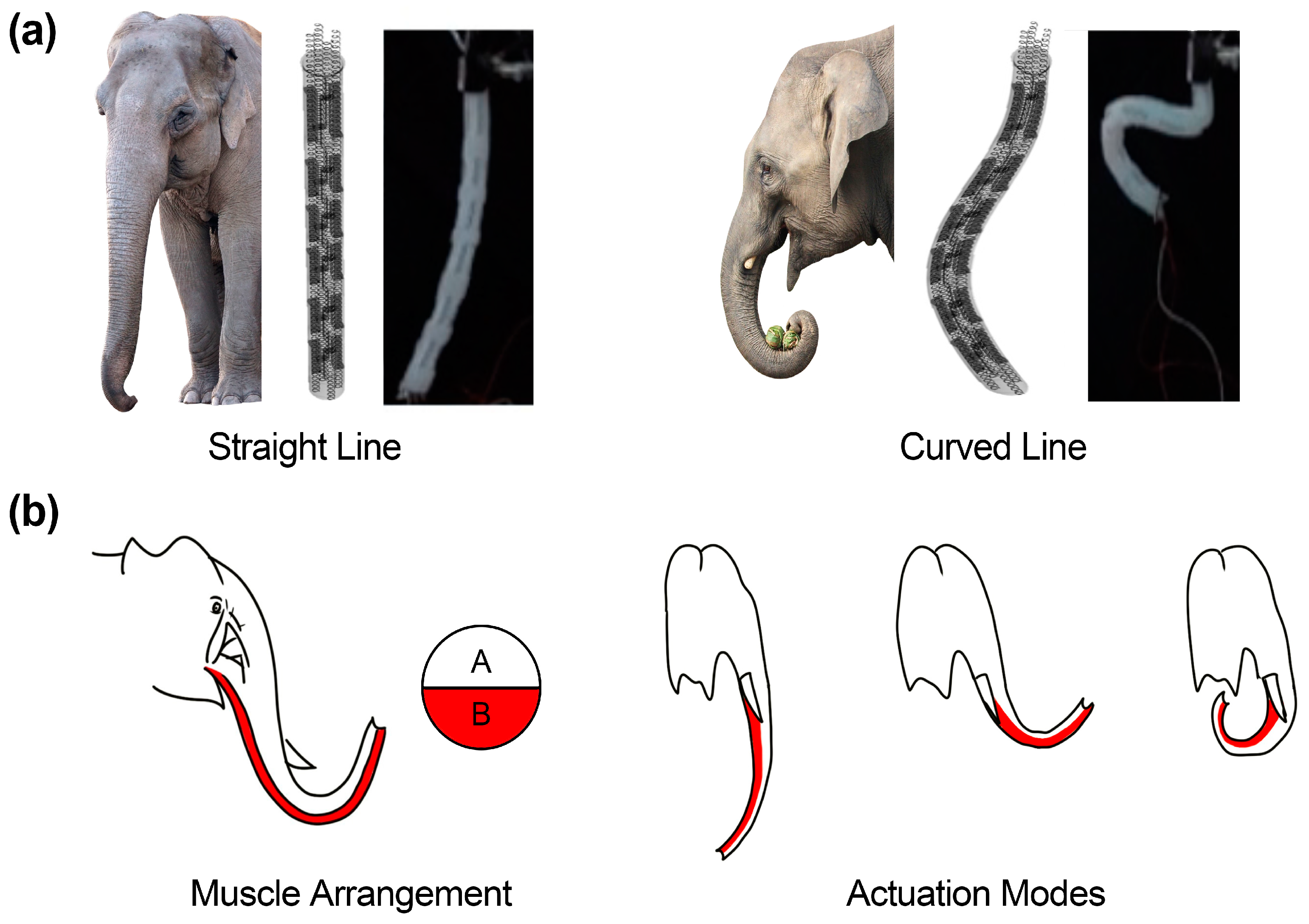 Polymers 15 01126 g001 Polymers 15 01126 g001