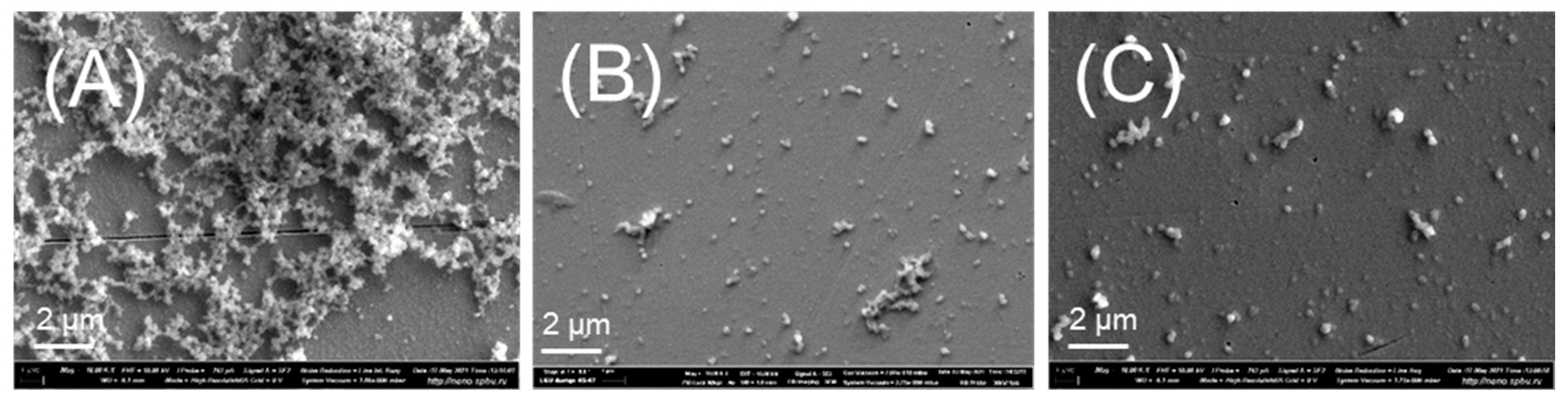 Polymers 15 01127 g007