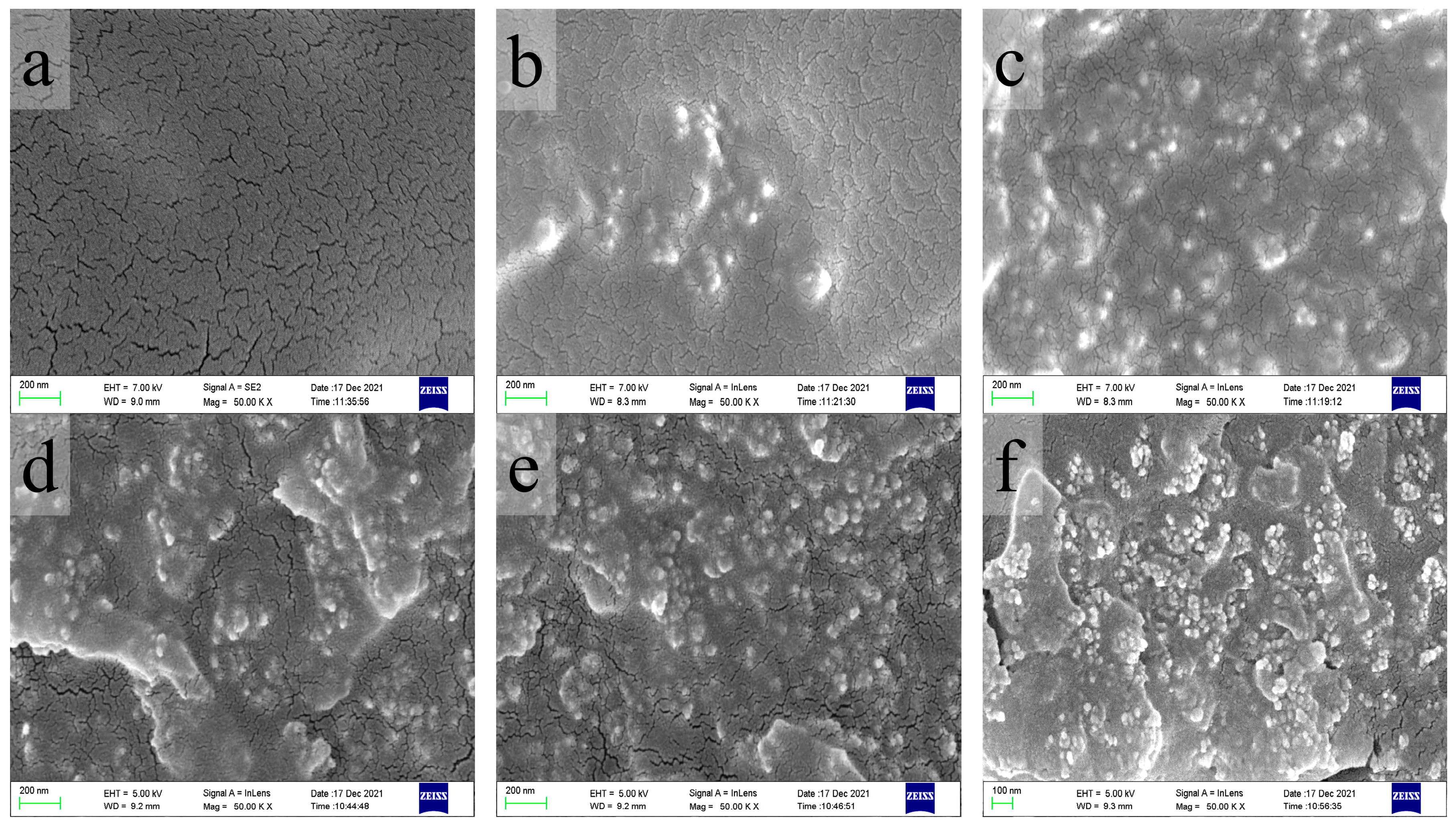 Polymers 15 01129 g006 Polymers 15 01129 g006
