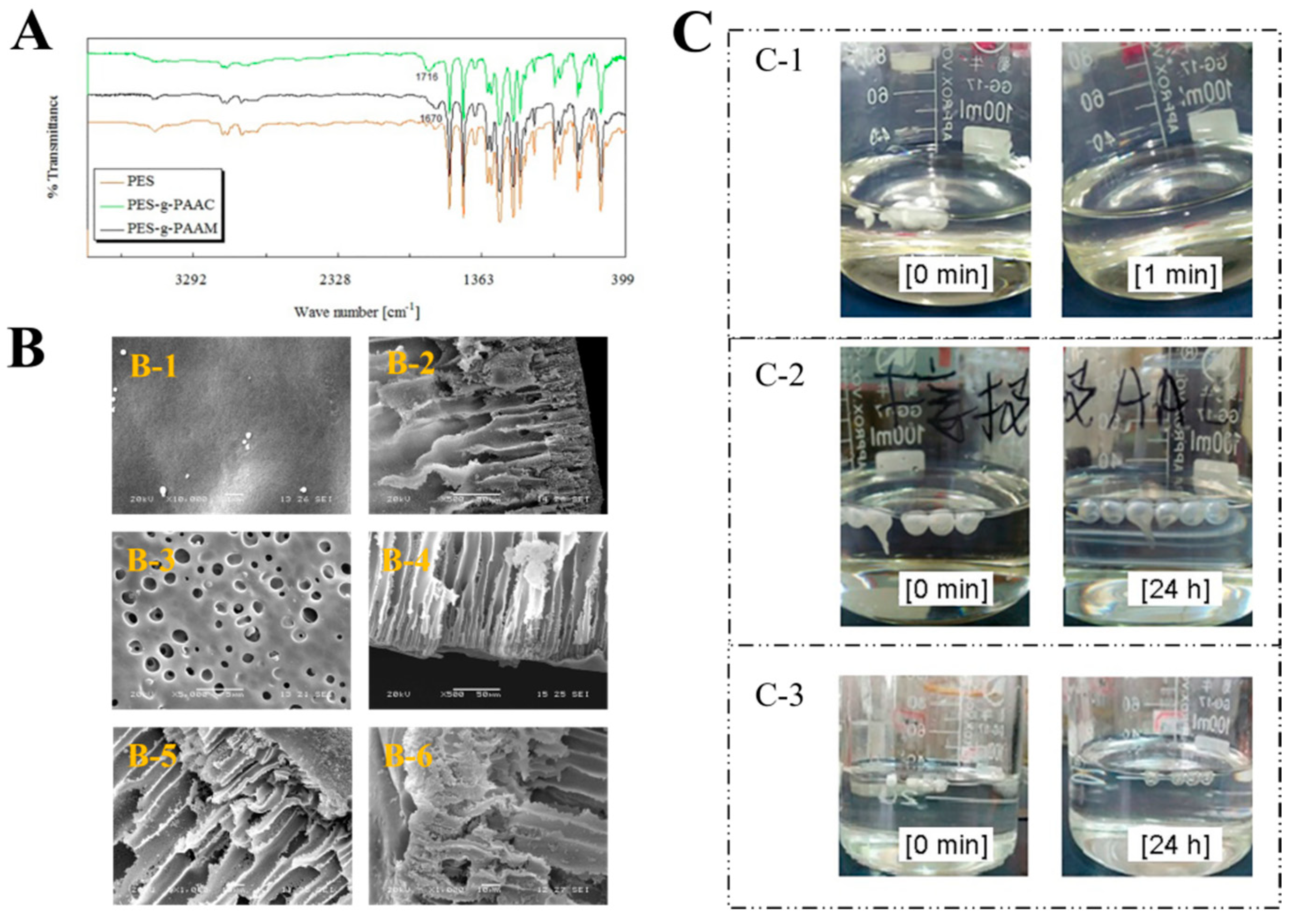 Polymers 15 01131 g002