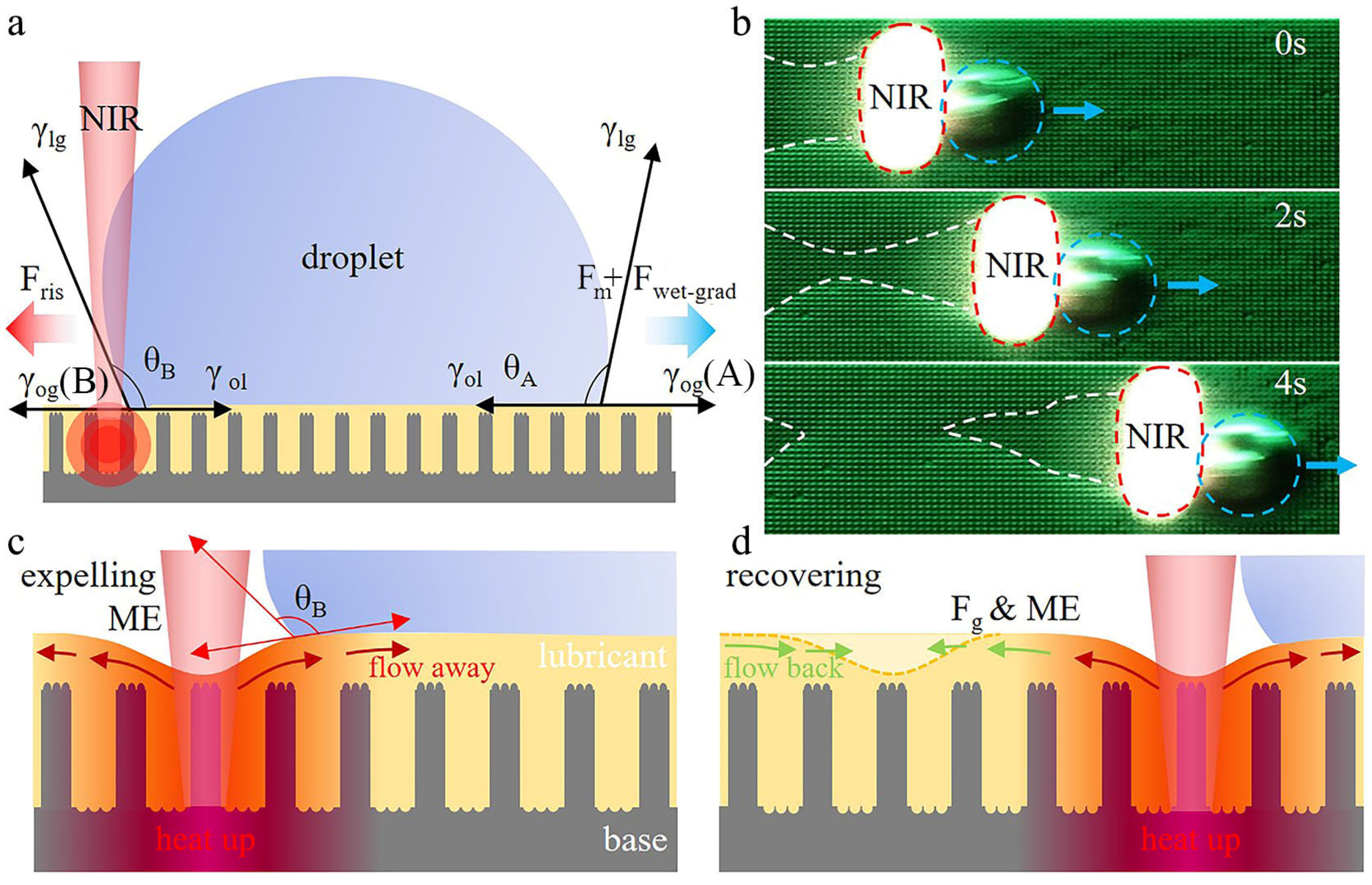 Polymers 15 01132 g005