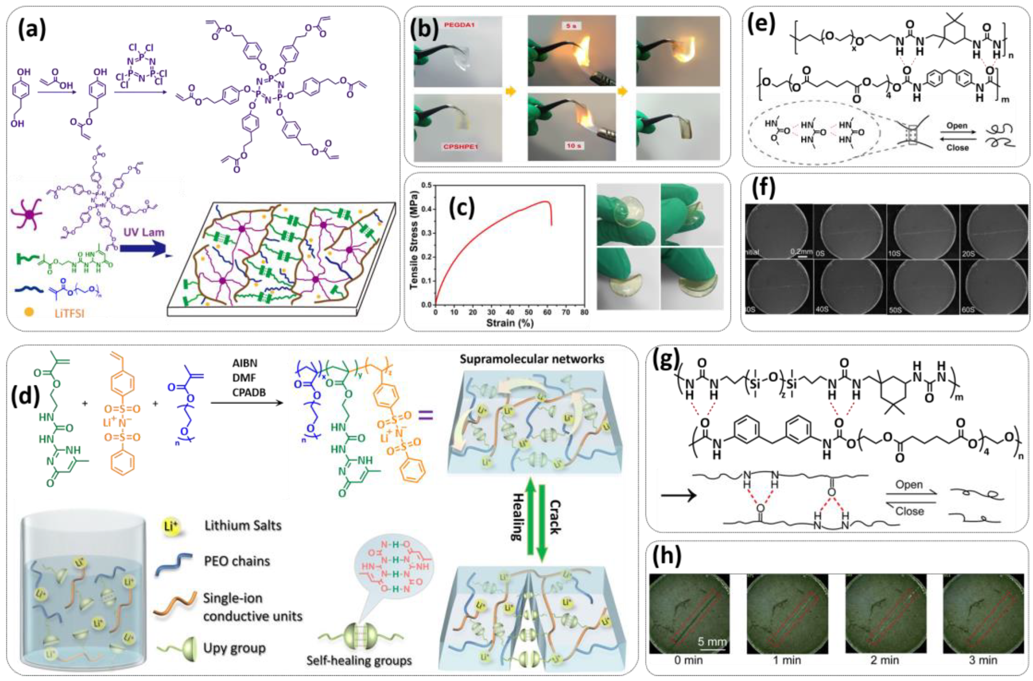 Polymers 15 01145 g004 Polymers 15 01145 g004