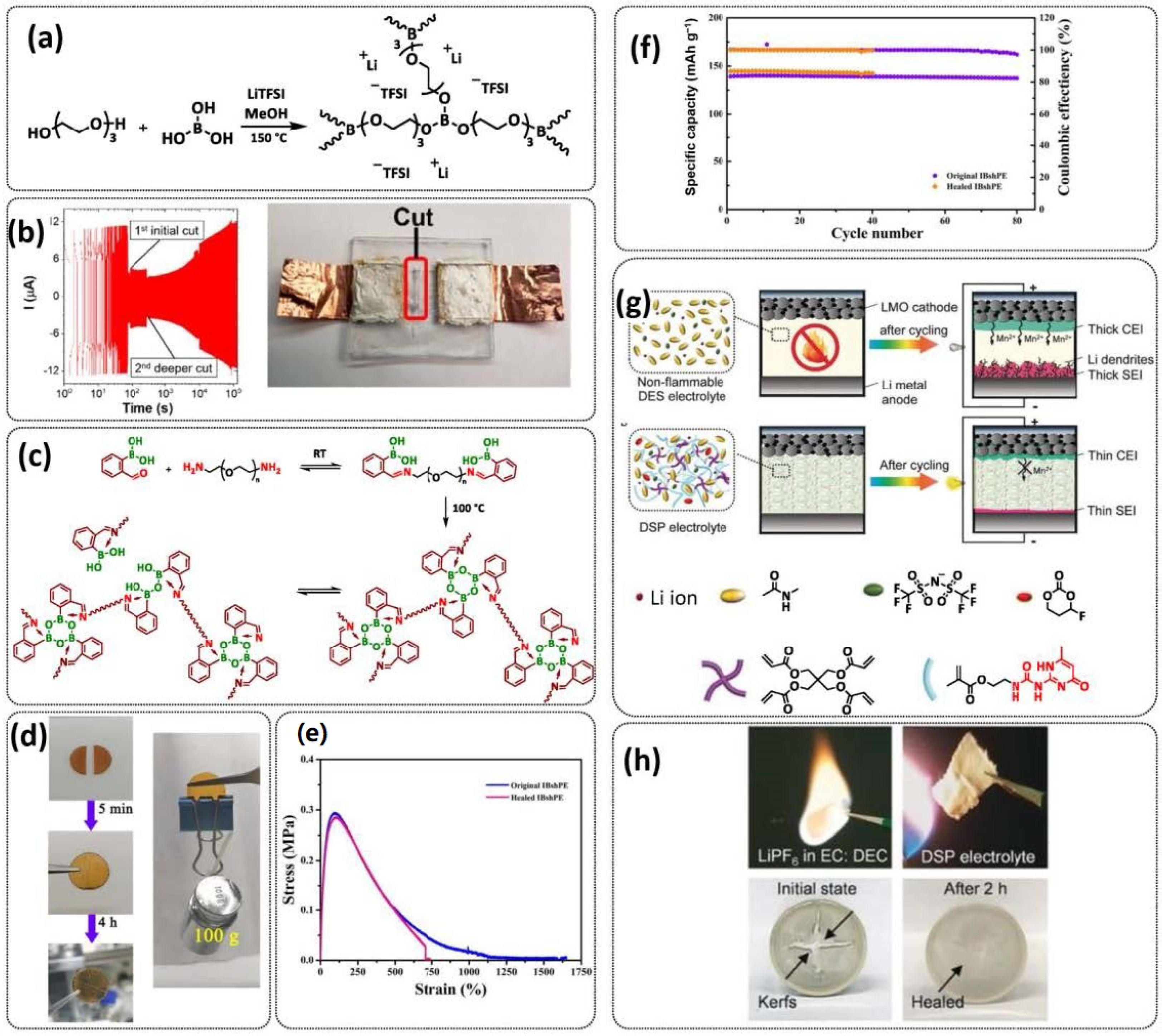 Polymers 15 01145 g008 Polymers 15 01145 g008