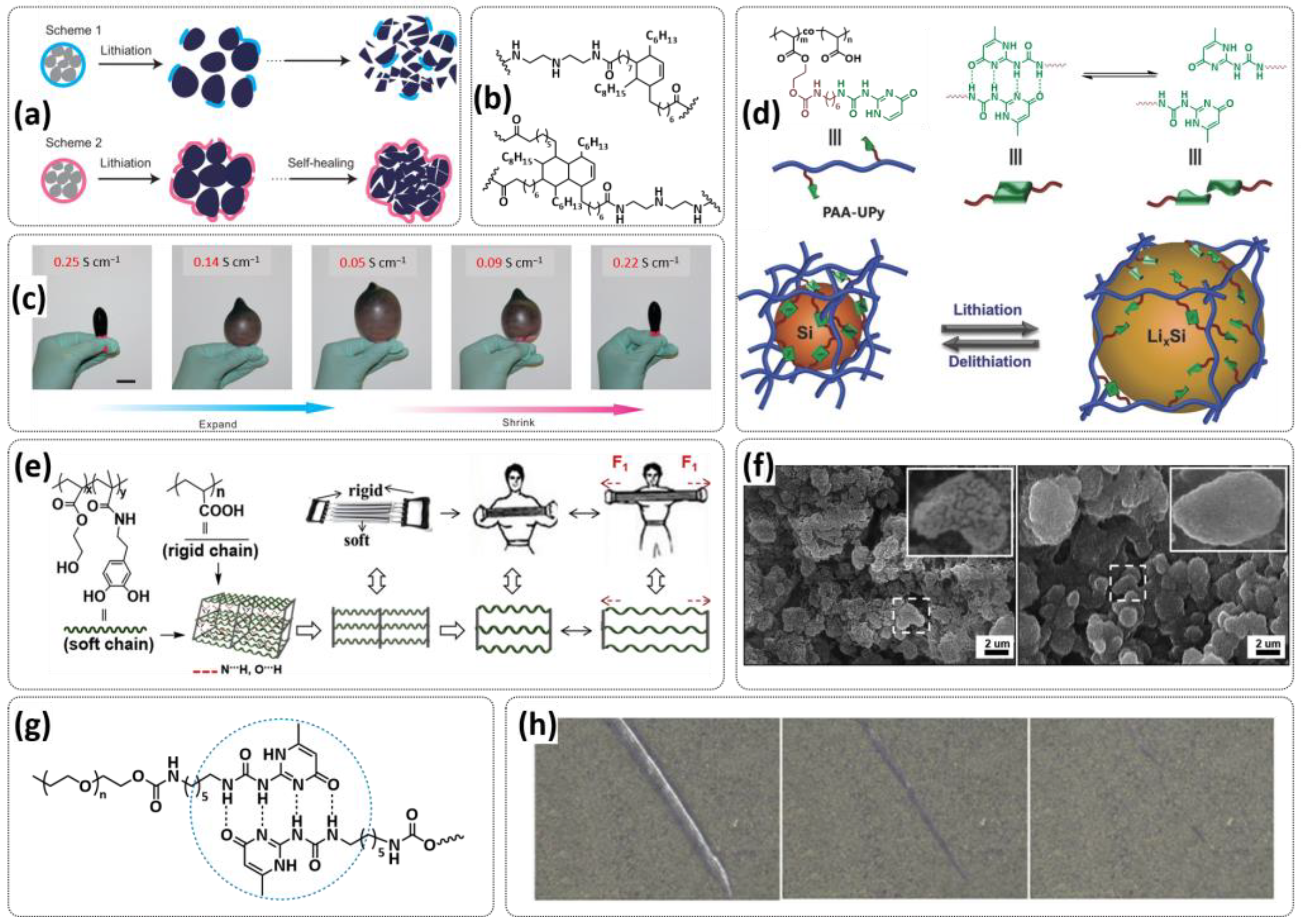 Polymers 15 01145 g015 Polymers 15 01145 g015