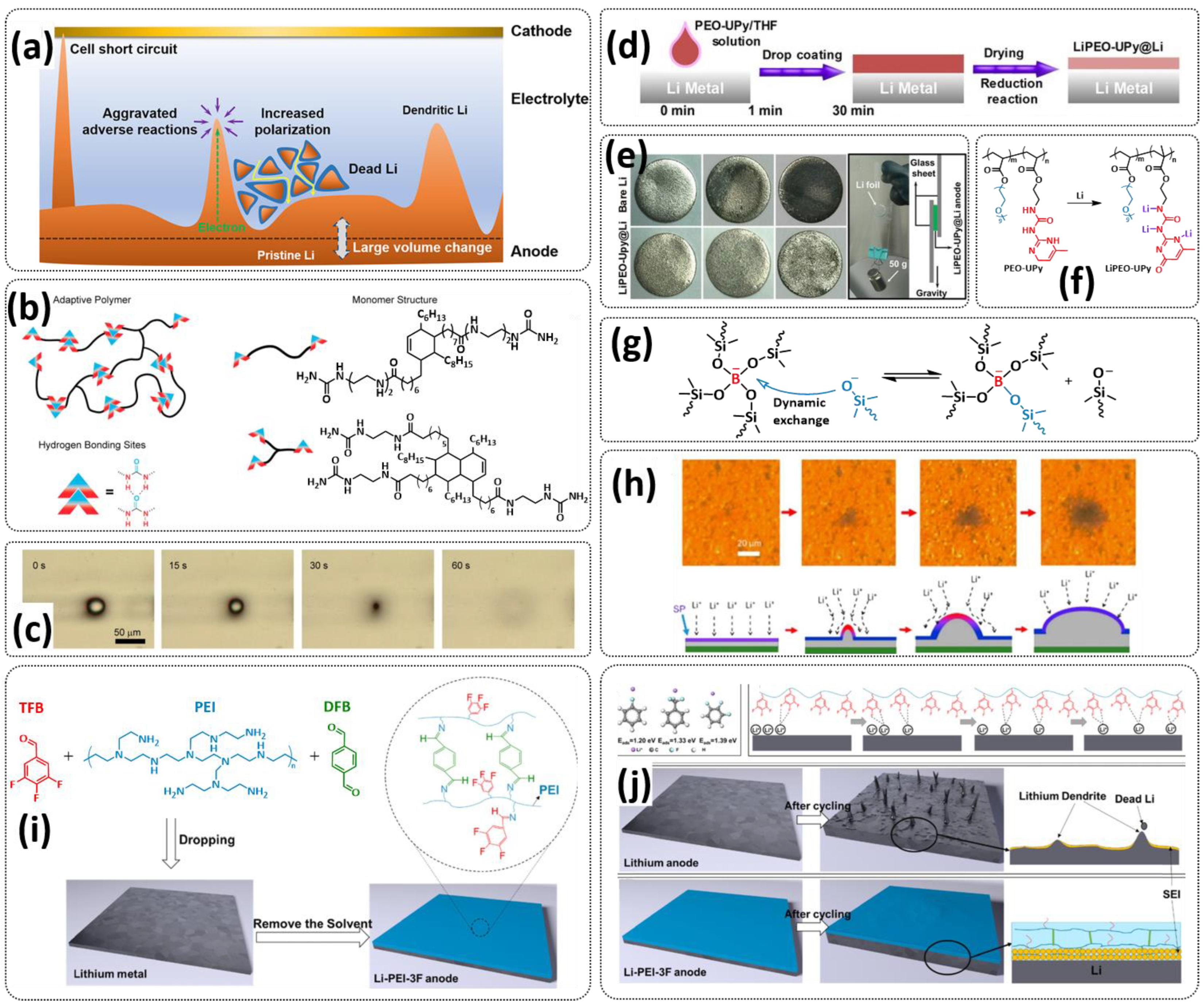 Polymers 15 01145 g018 Polymers 15 01145 g018
