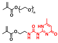 Polymers 15 01145 i012 Polymers 15 01145 i012